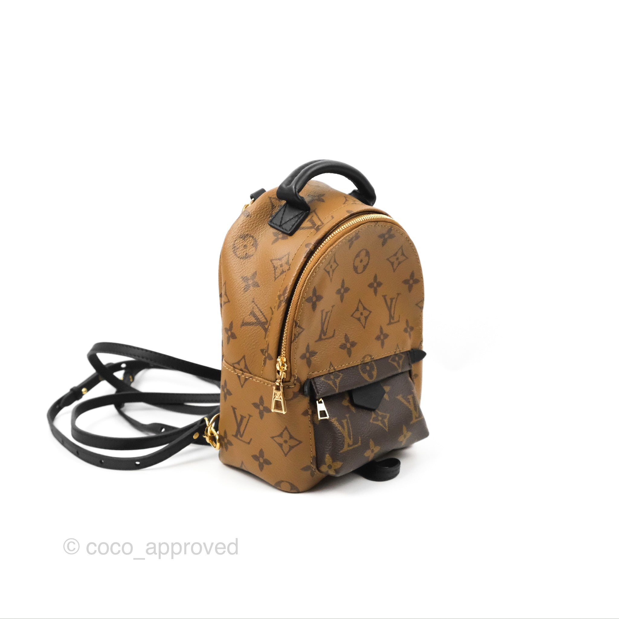 Louis Vuitton Monogram Reverse Mini Palm Springs Backpacks - Brown