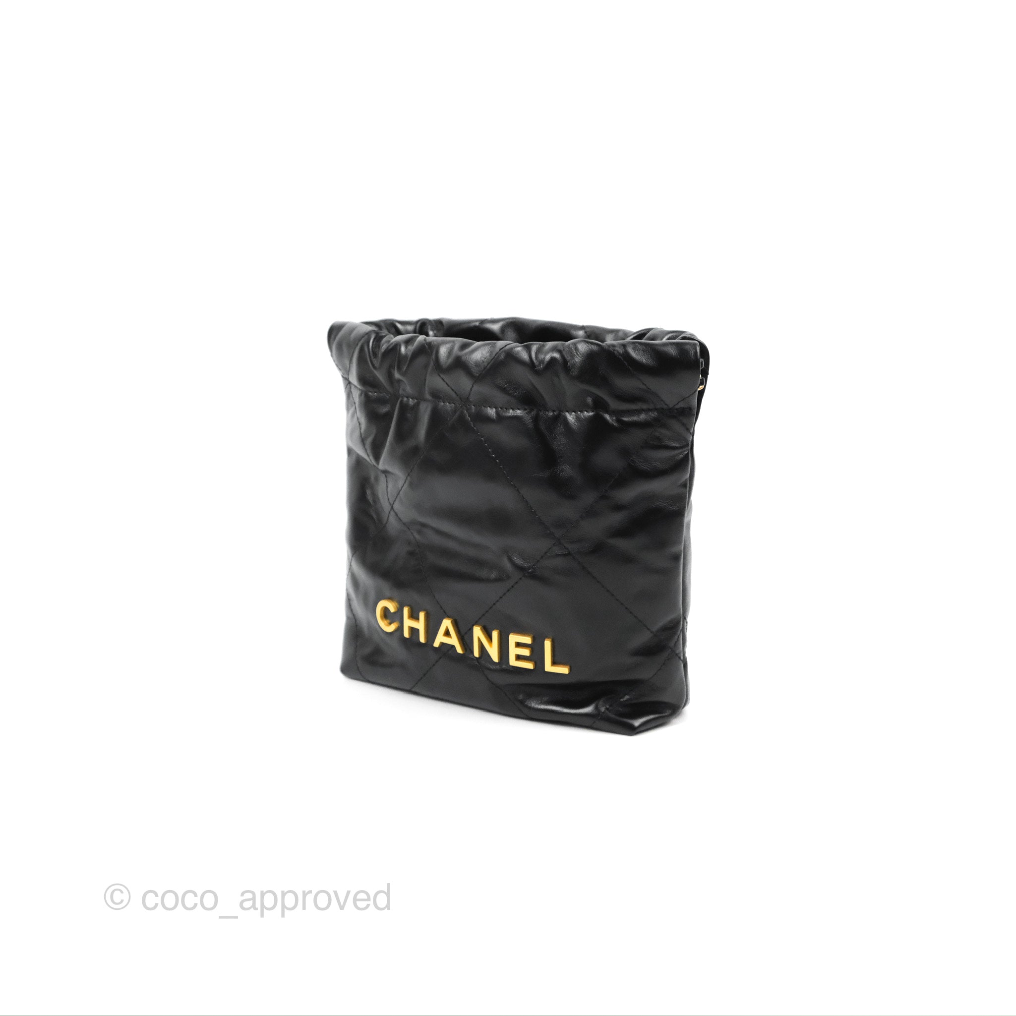 Chanel 22 Mini Handbag (NWT) – Lux Second Chance
