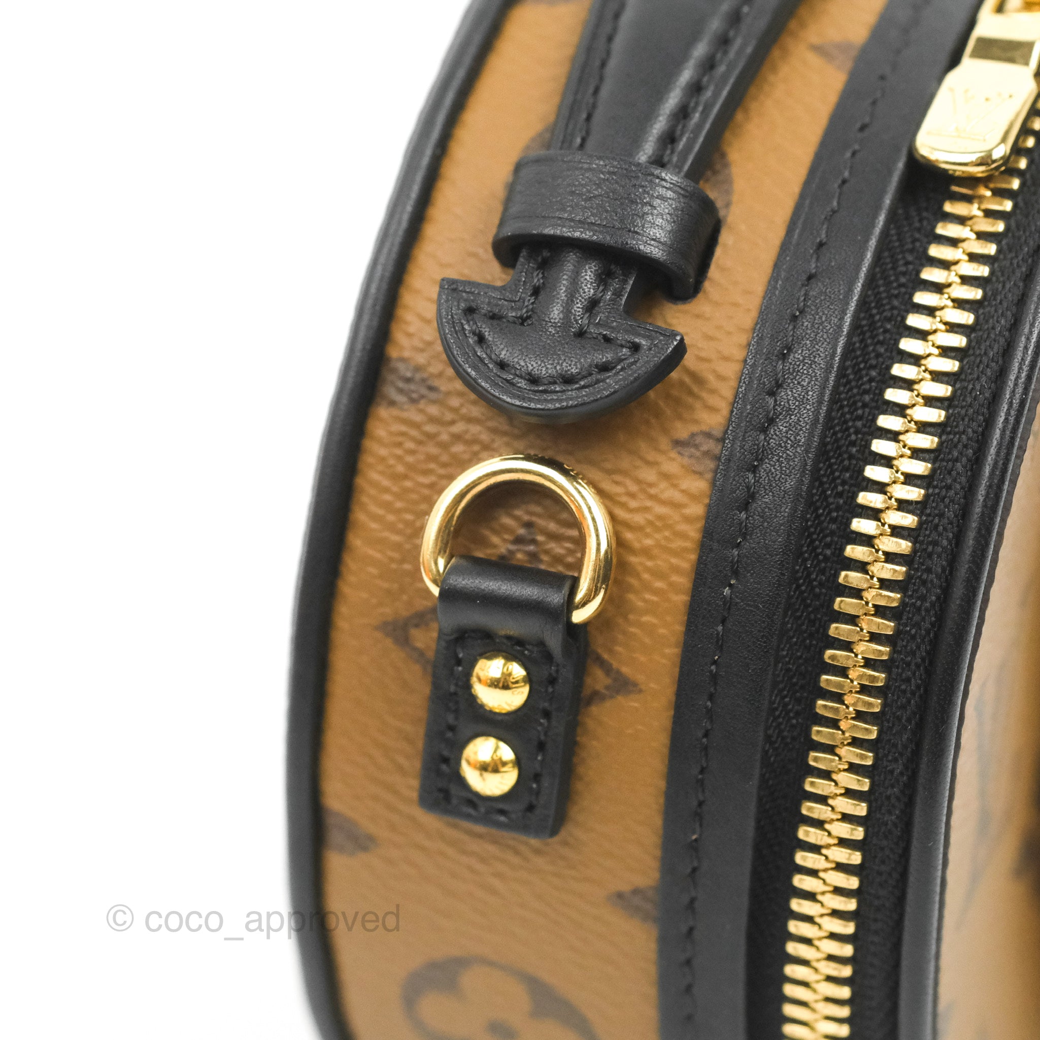 Louis Vuitton Reverse Monogram Camera Box Bag - Crossbody Bags