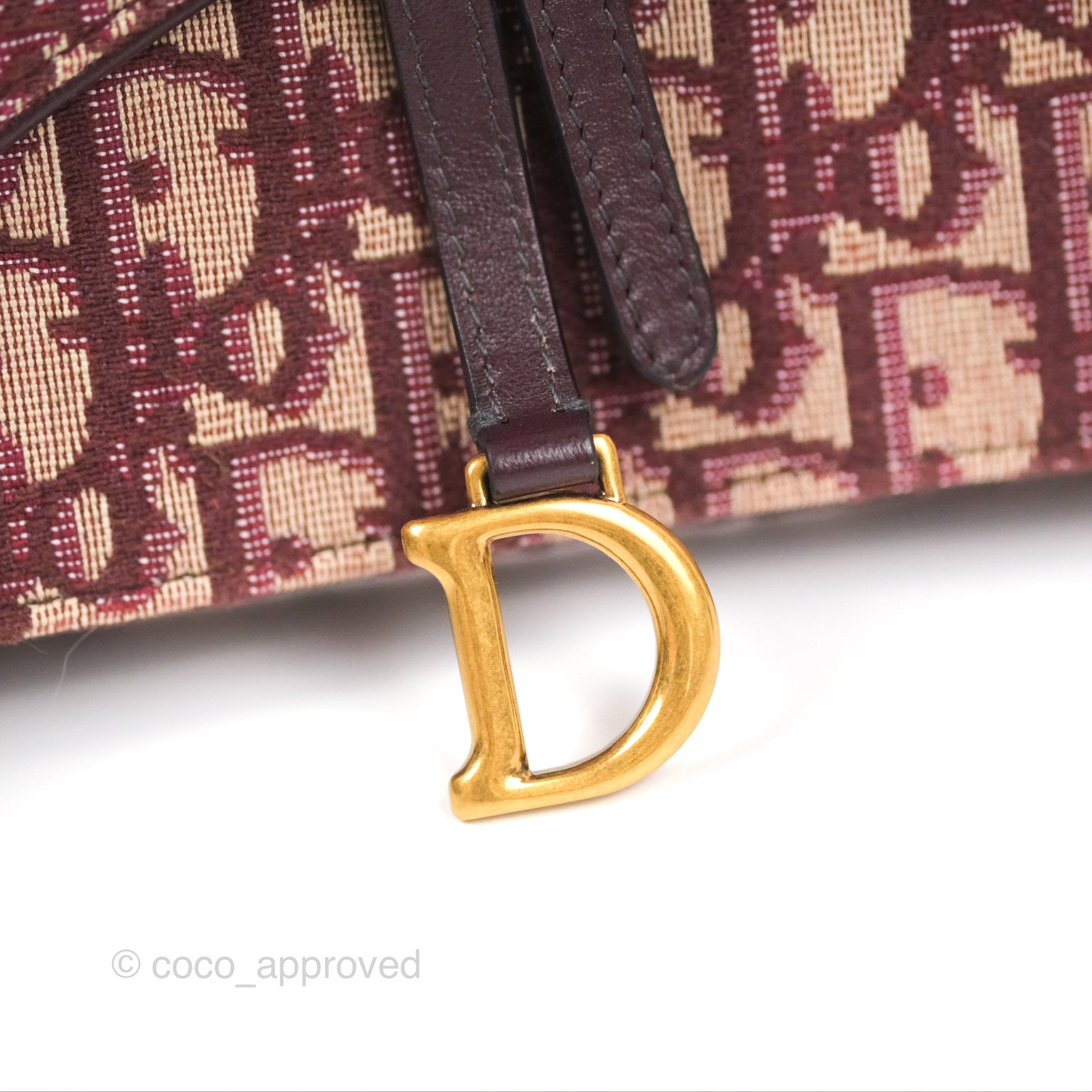 Christian Dior Neutrals, Pattern Print Oblique Saddle Pouch w/ Chain Micro