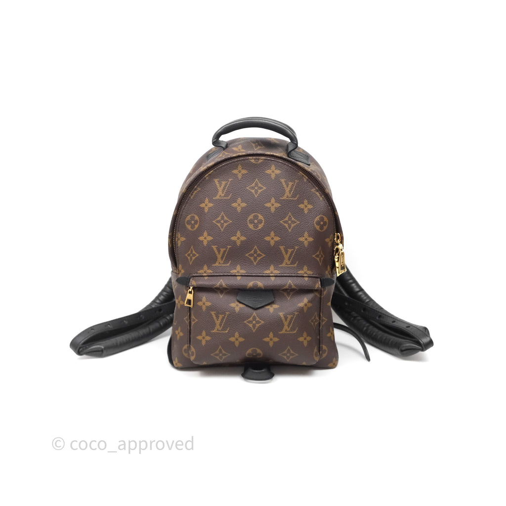 Louis Vuitton Palm Springs Backpack⁣ Monogram PM