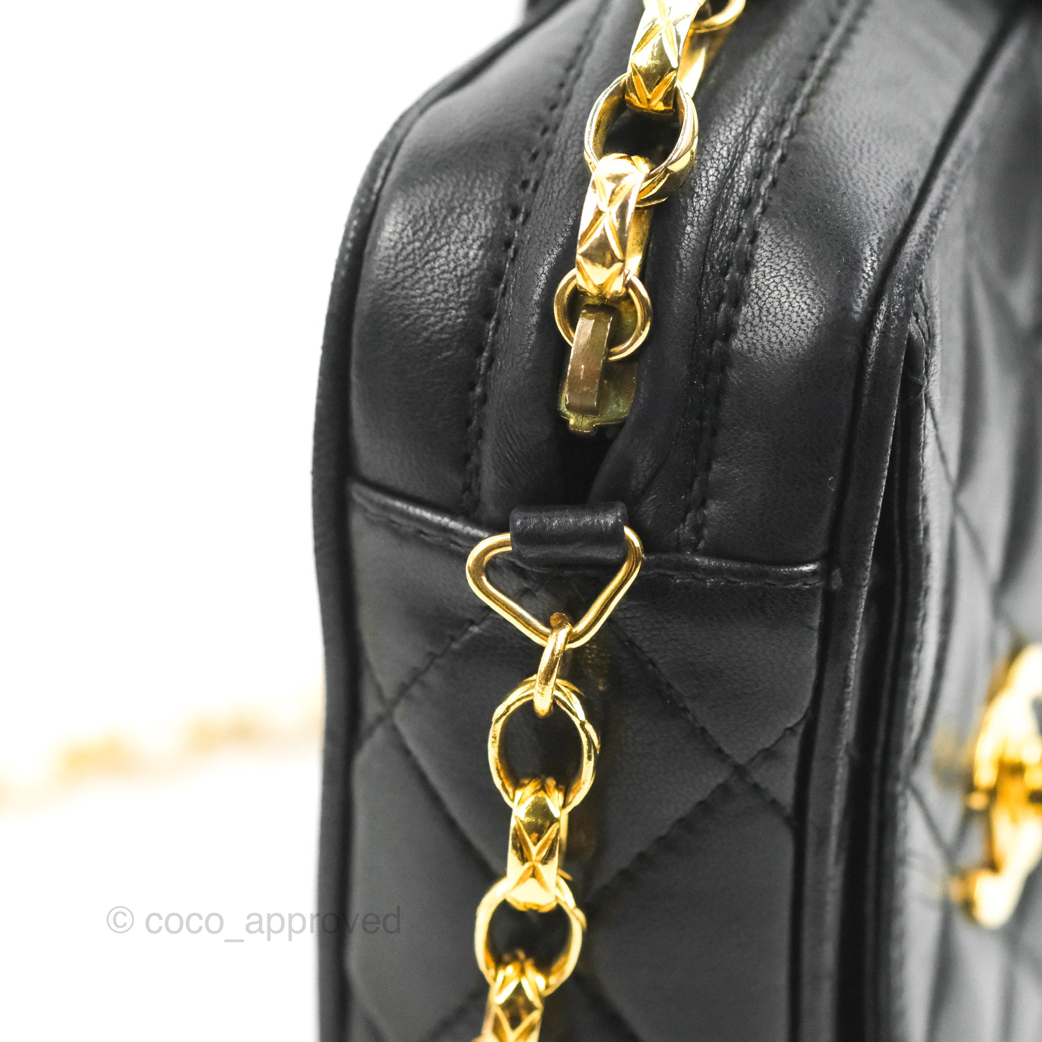 Chanel Triangle Flap Camera Case Bag