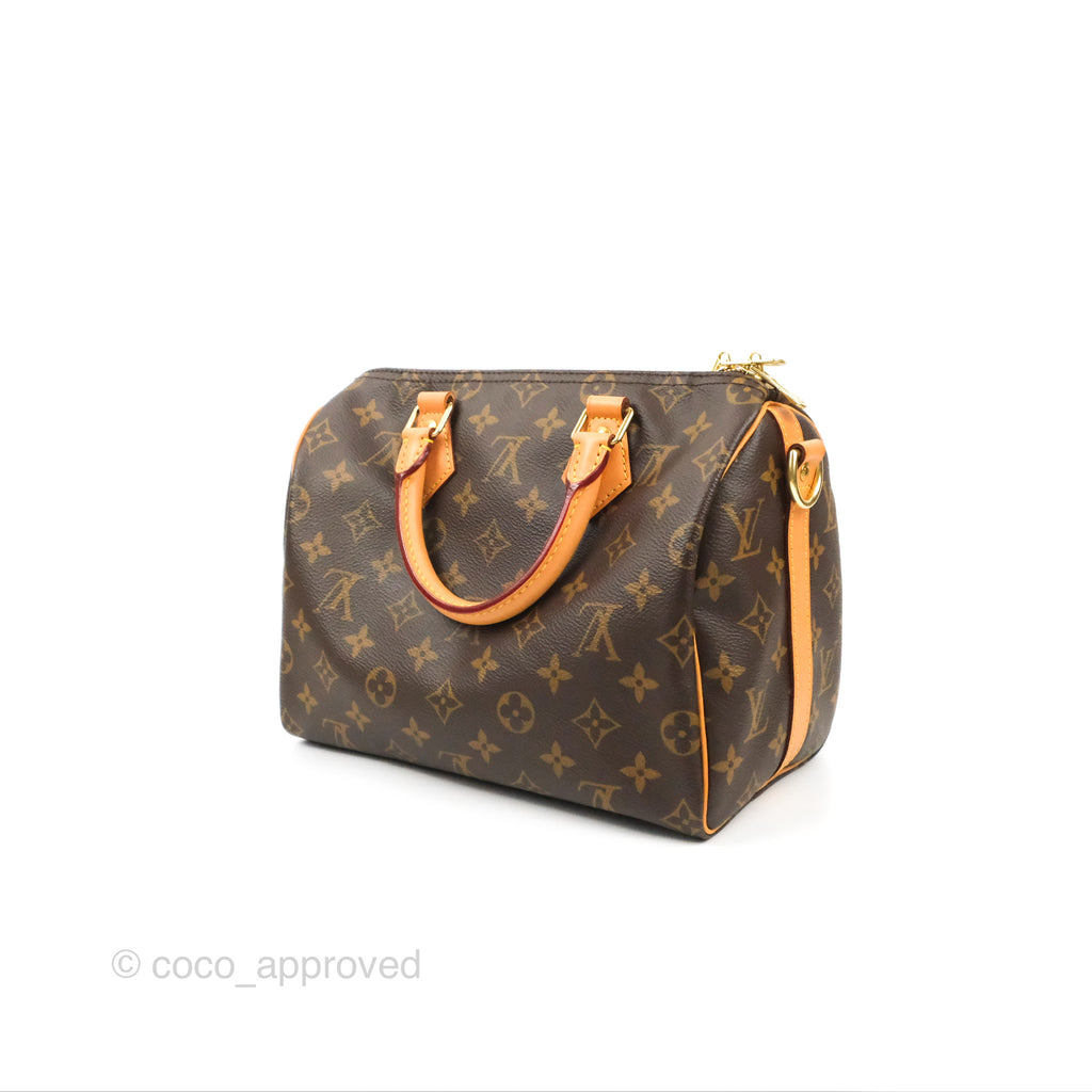 Louis Vuitton Speedy 25 Monogram Canvas