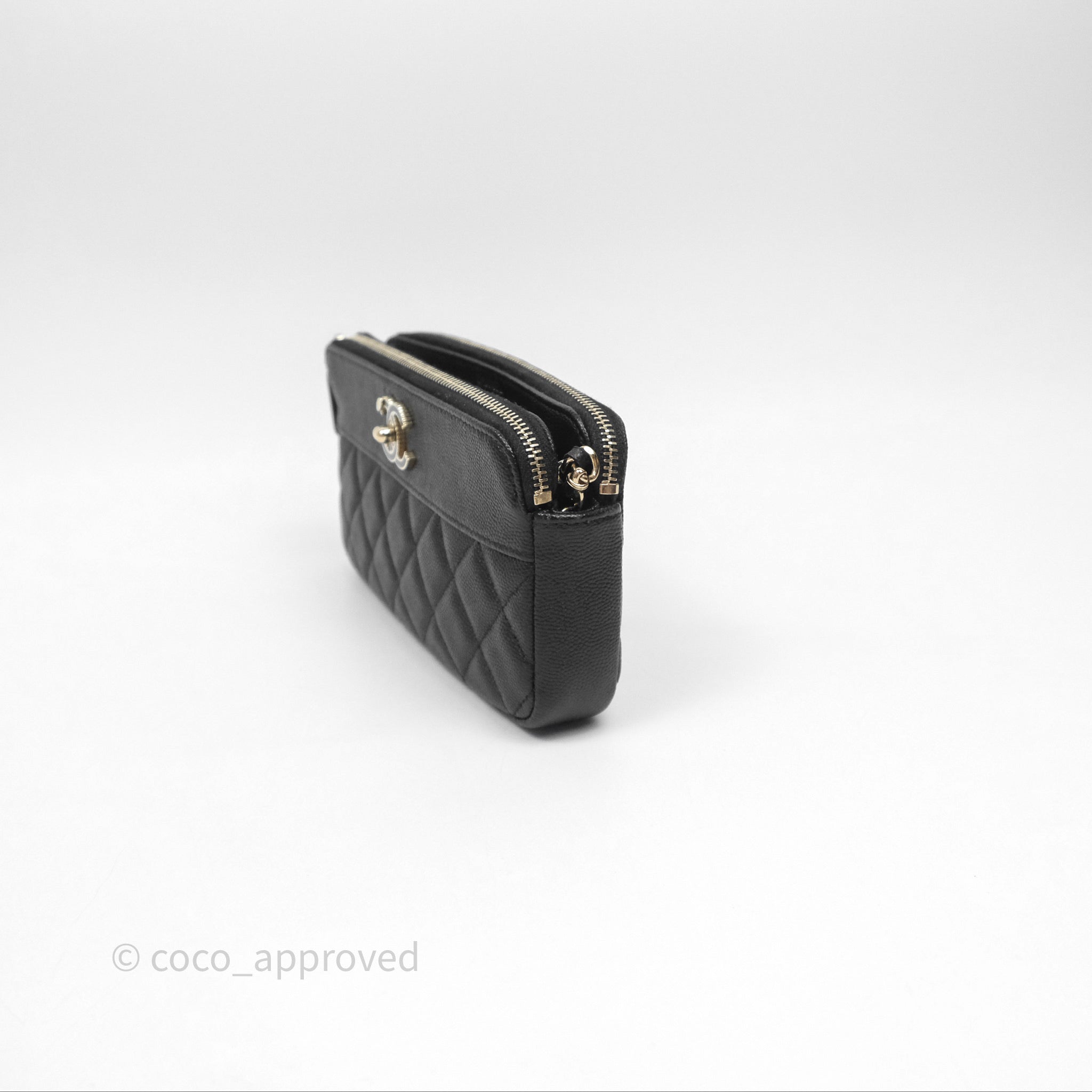 CHANEL カタログ２冊 CHANEL-Patent-Leather-CC-Logo-