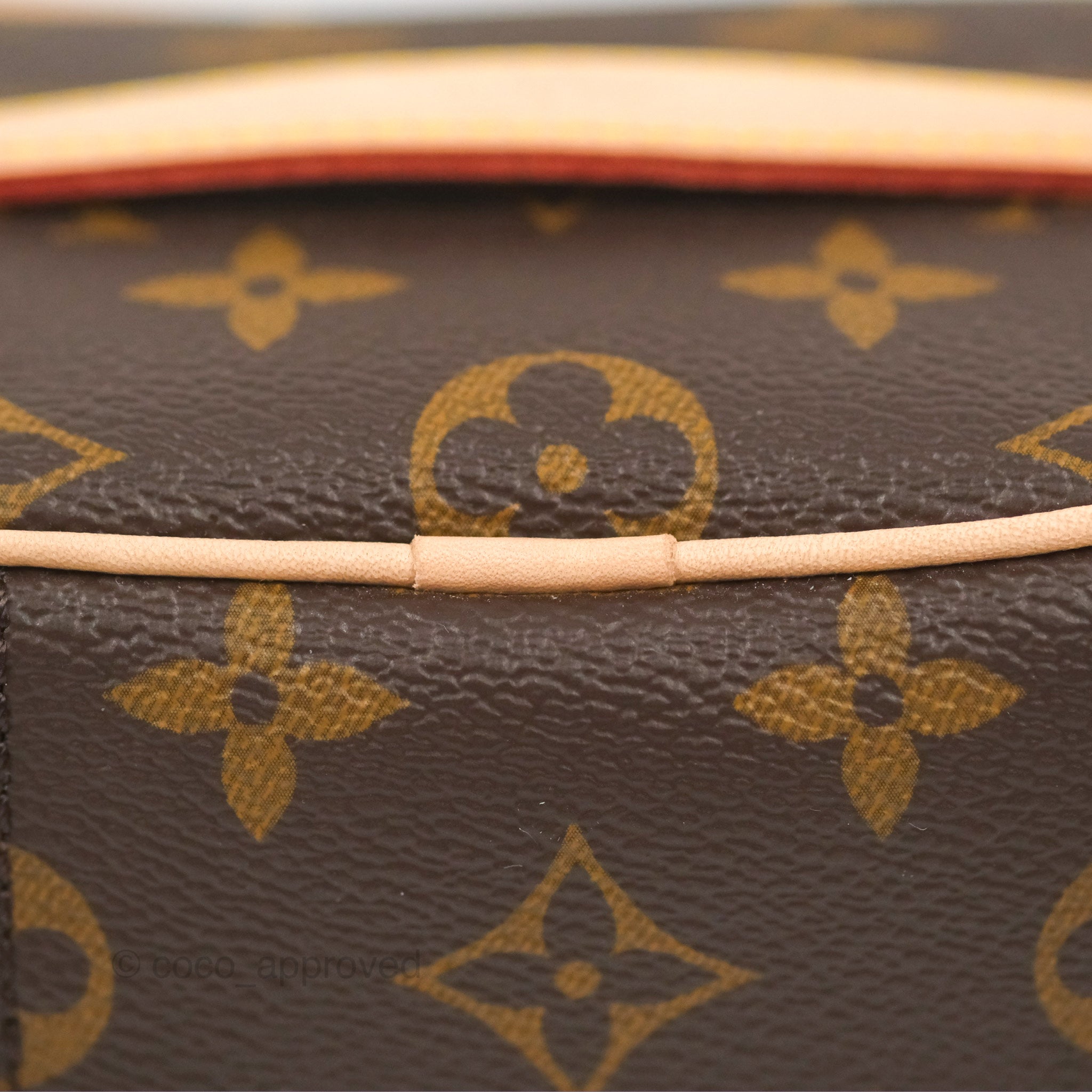 LOUIS VUITTON Monogram Nano Nice 560220