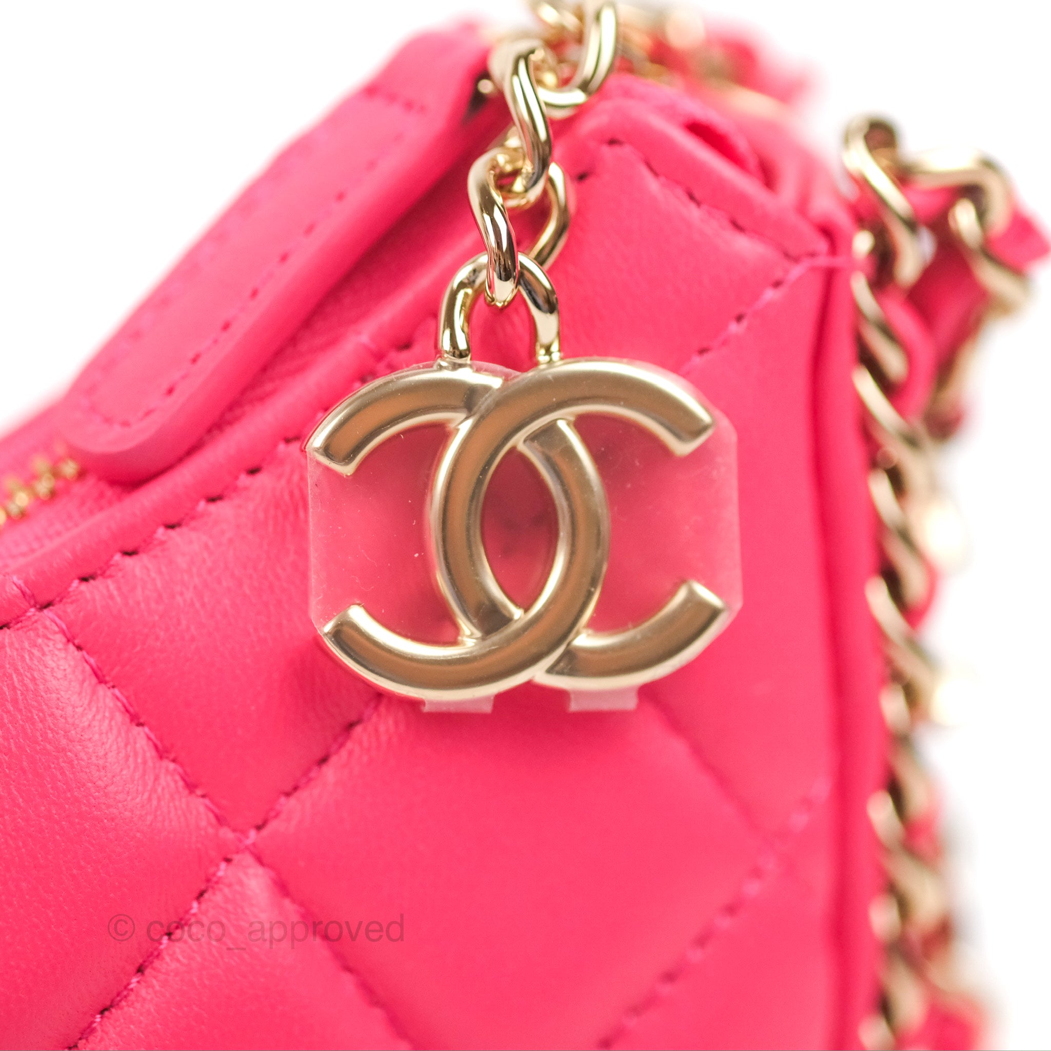 Chanel Small Lambskin Gold HW Hobo Bag Pink - NOBLEMARS
