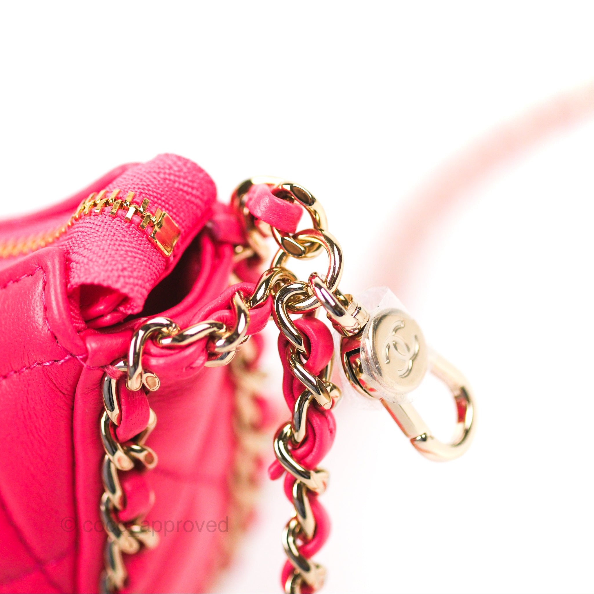 Chanel Small Hobo Bag Pink Lambskin Gold Hardware 23S – Coco