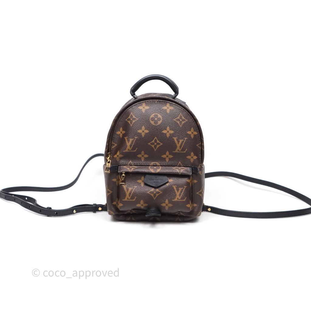 Louis Vuitton Mini Palm Springs Backpack⁣ Monogram