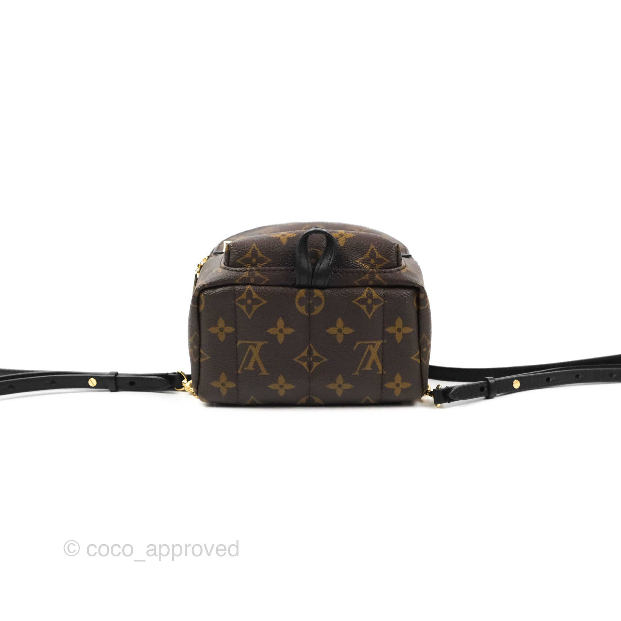 Louis Vuitton Palm Springs Backpack Mini