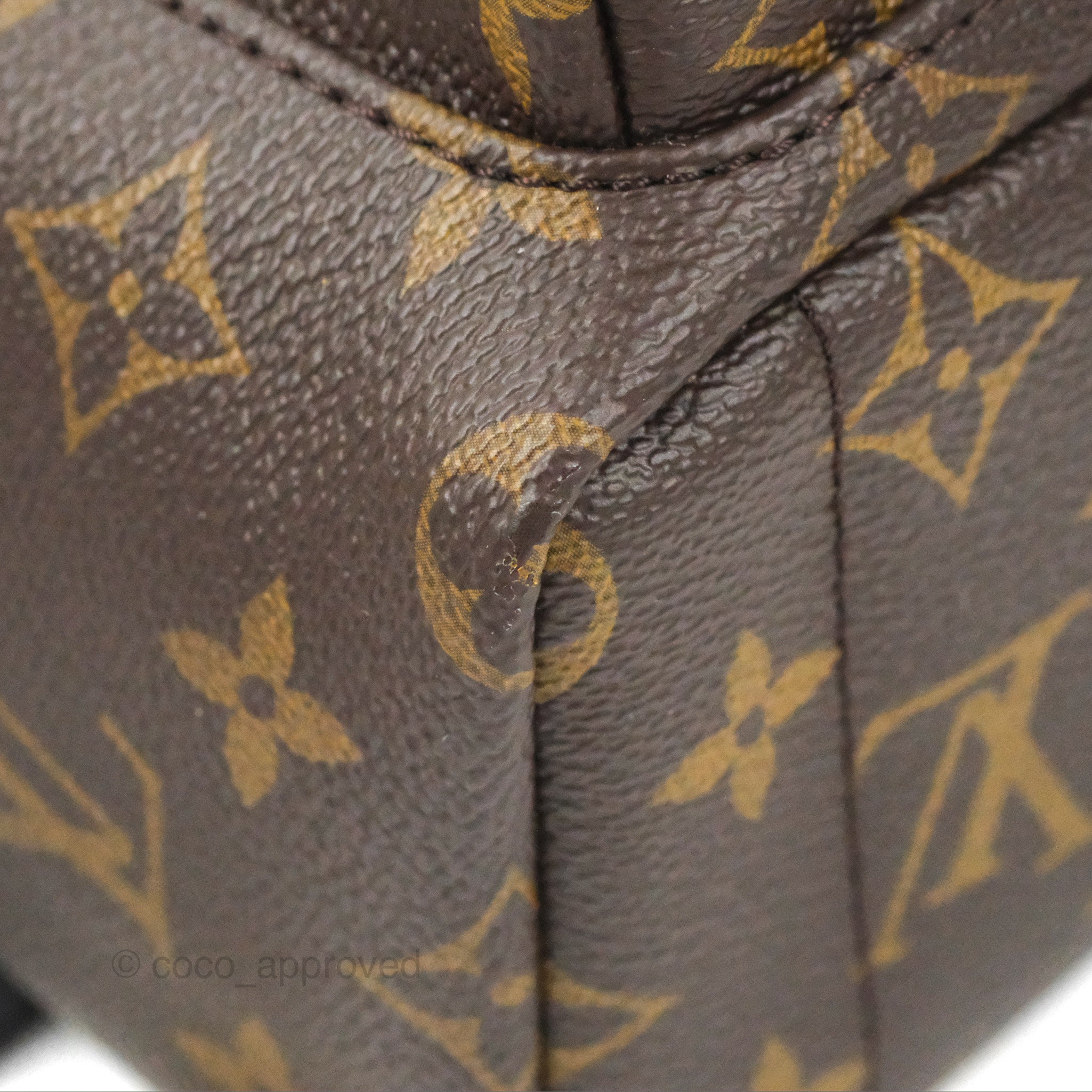 Louis Vuitton Monogram Mini Palm Springs Backpack⁣ – Coco Approved Studio