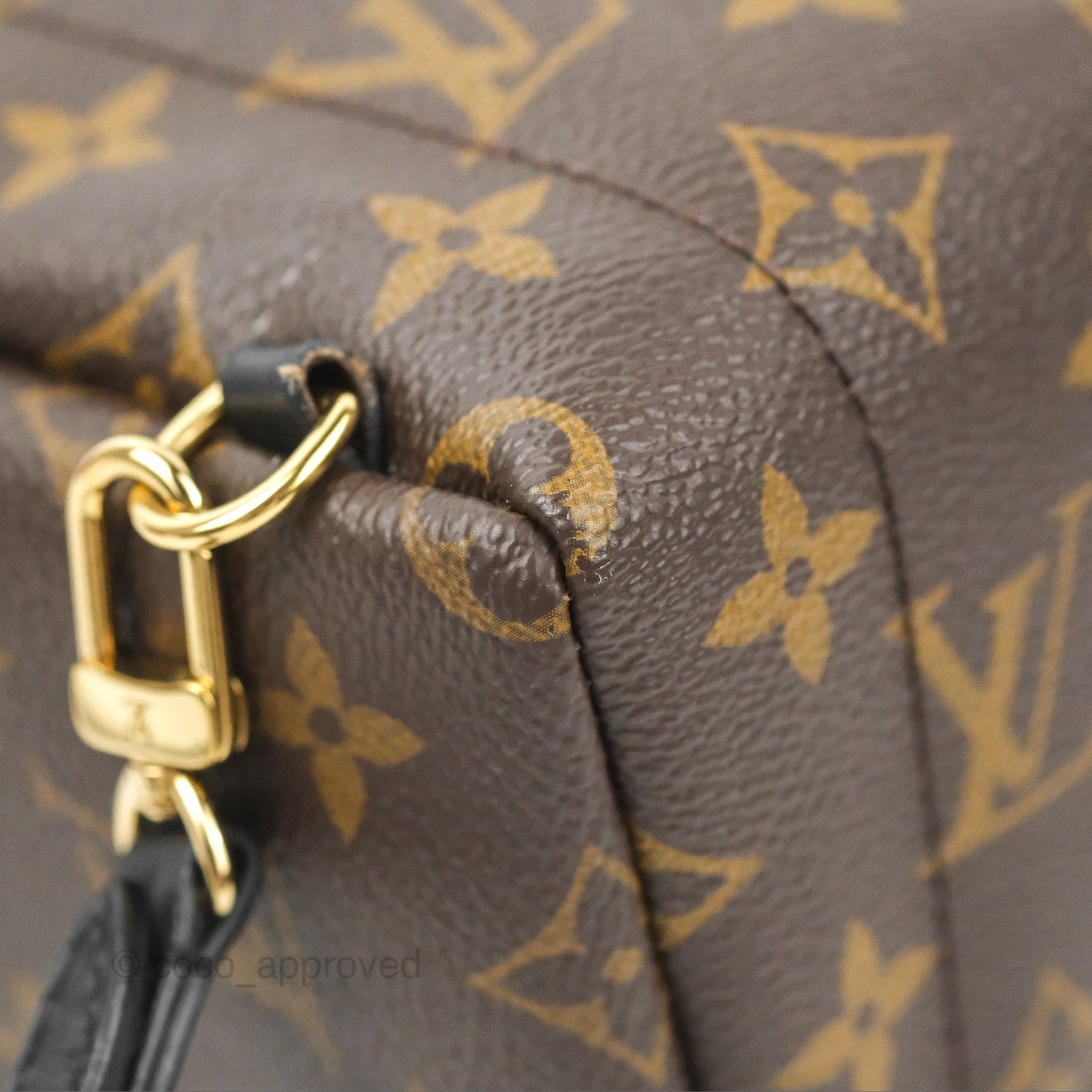 Louis Vuitton Monogram Mini Palm Springs Backpack⁣ – Coco Approved