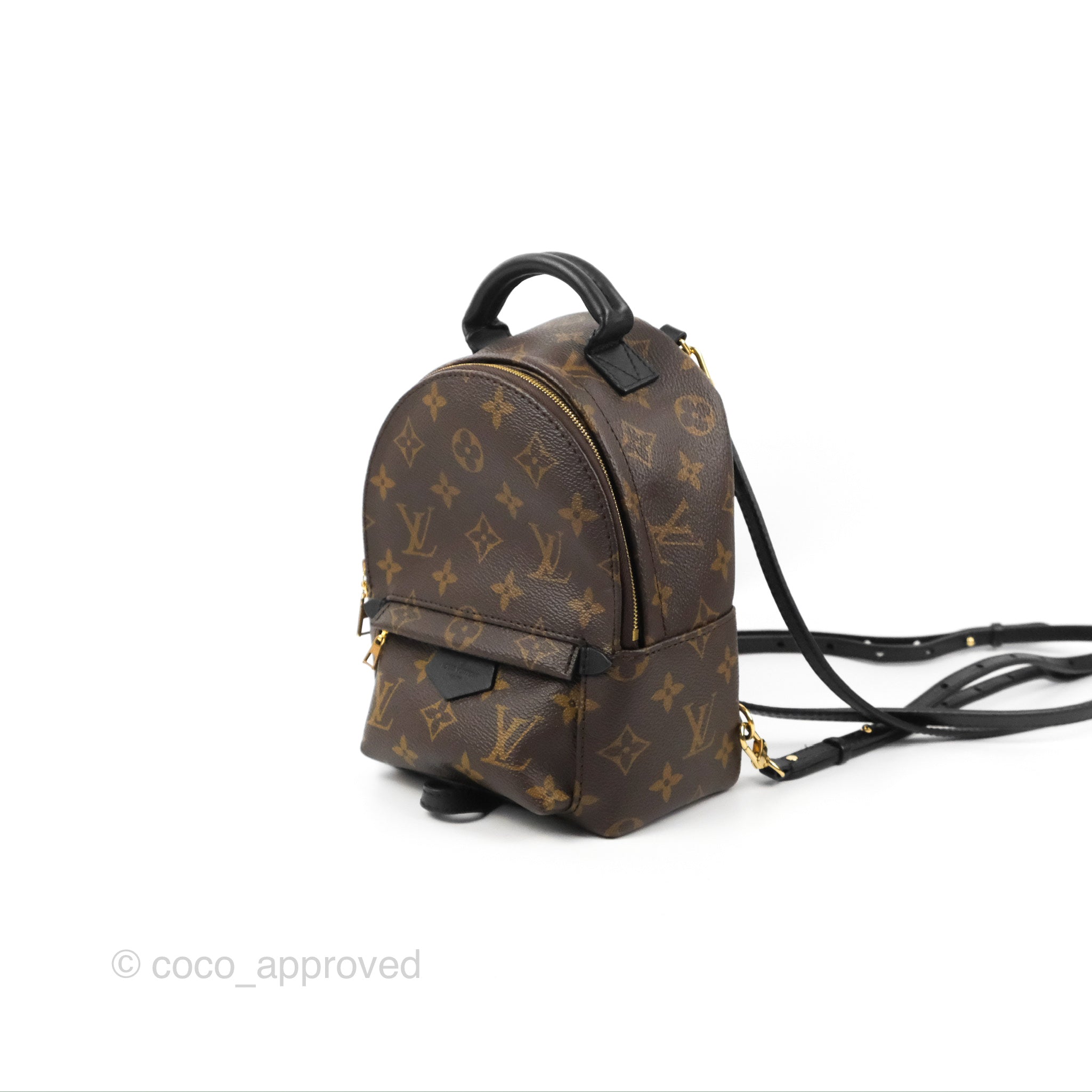 vuitton palm springs mini backpack