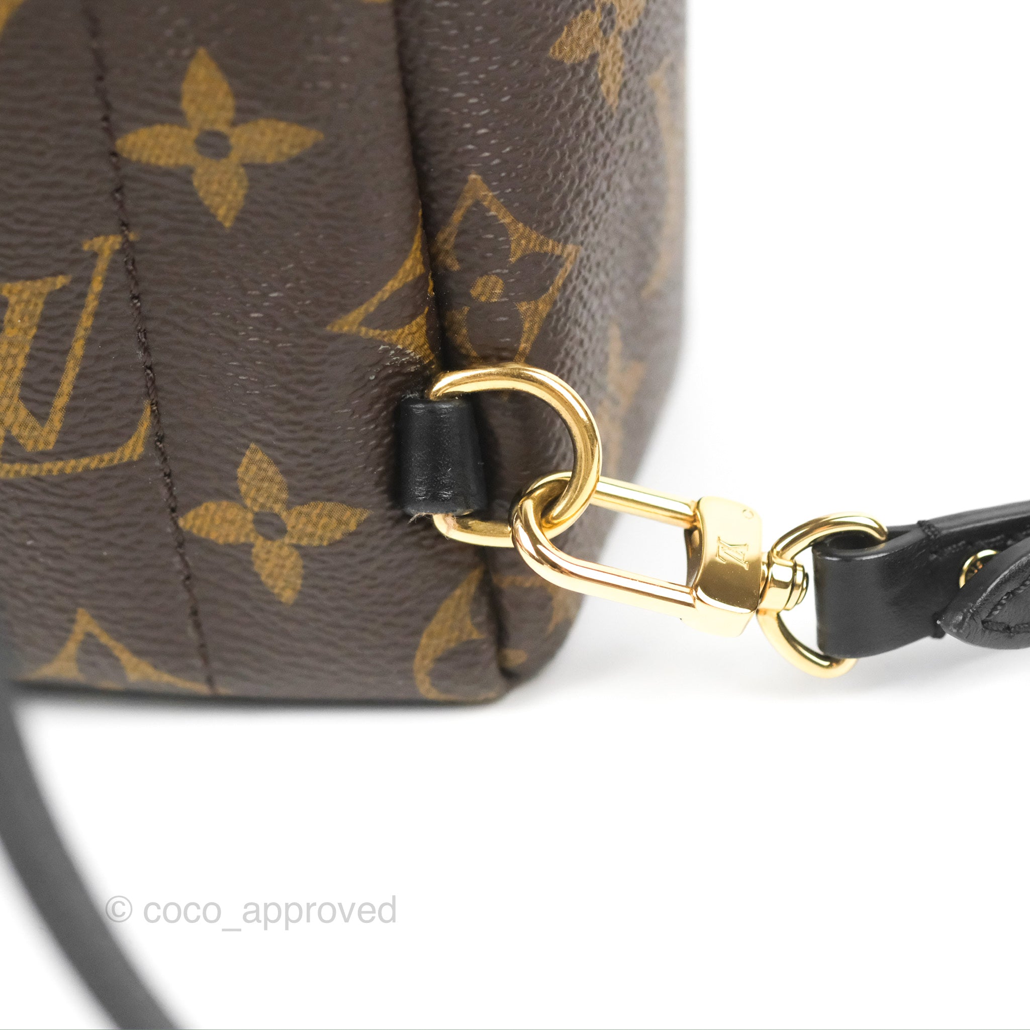 Louis Vuitton Monogram Mini Palm Springs Backpack⁣ – Coco Approved Studio