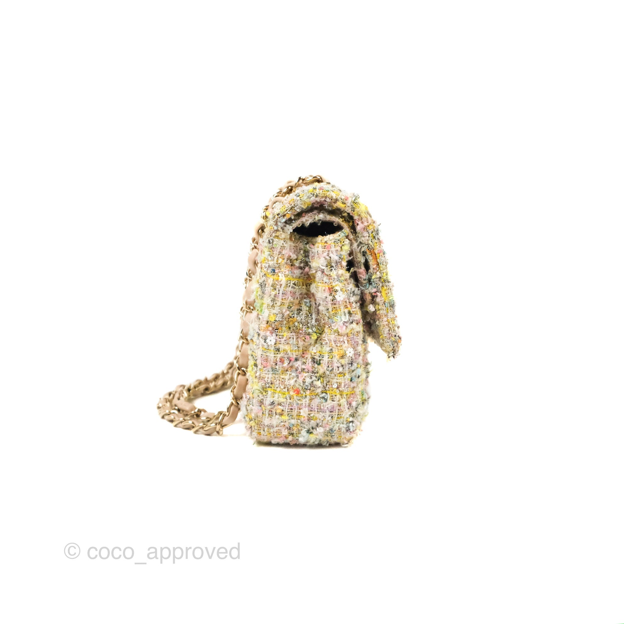 Chanel Reissue Tweed Pastel Garden Party Flap – Coco Approved Studio