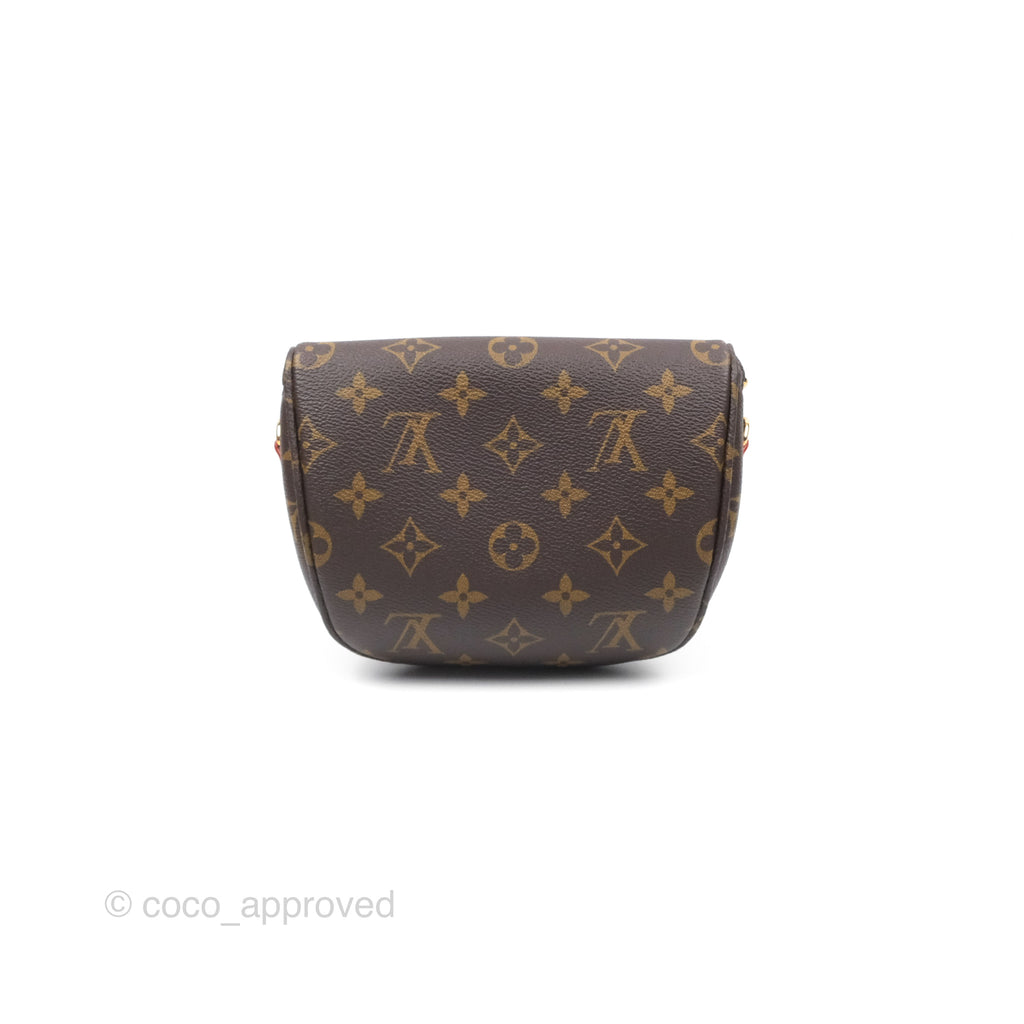 Louis Vitton Mini Bumbag in Monogram Canvas