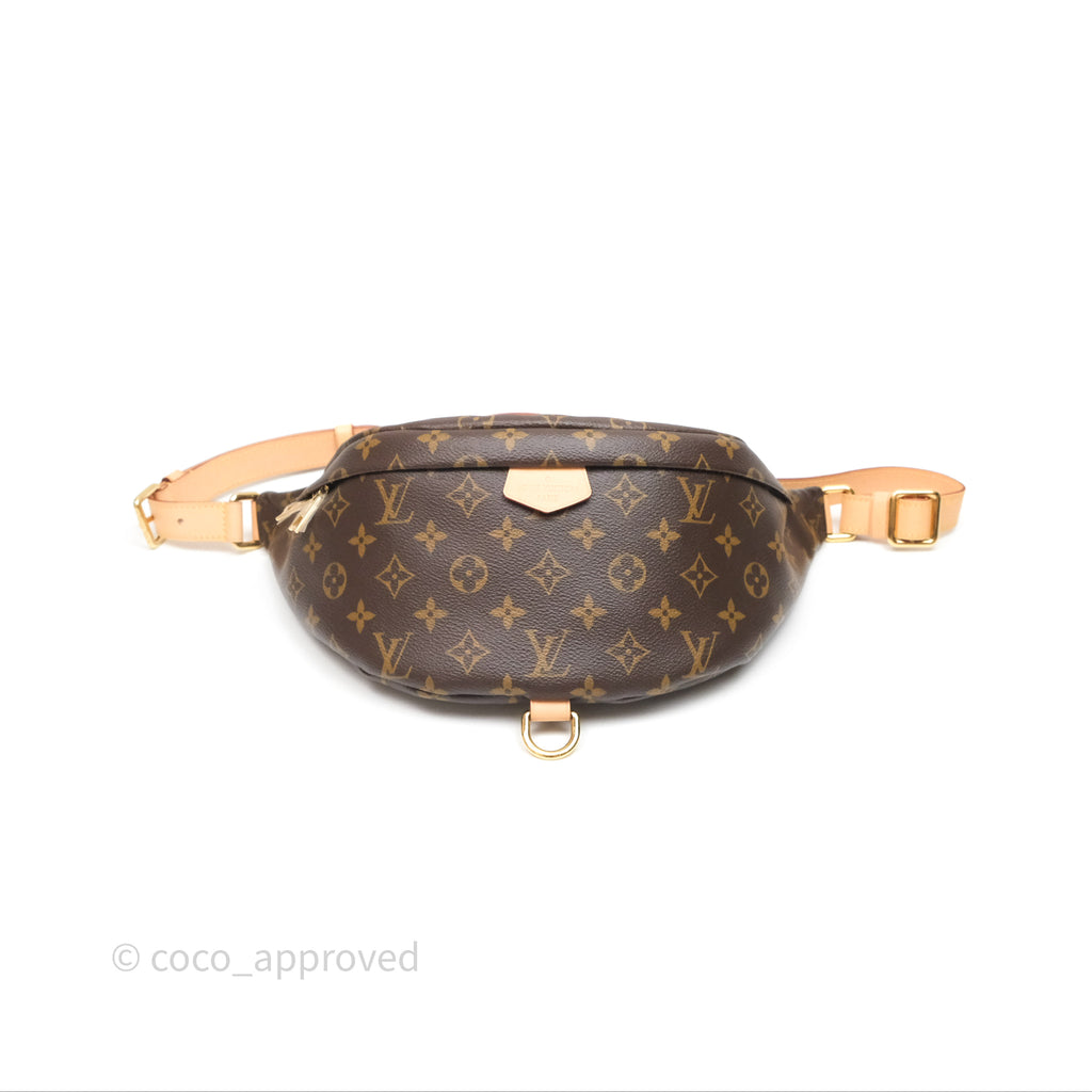 Louis Vuitton Bum Bag Monogram Canvas