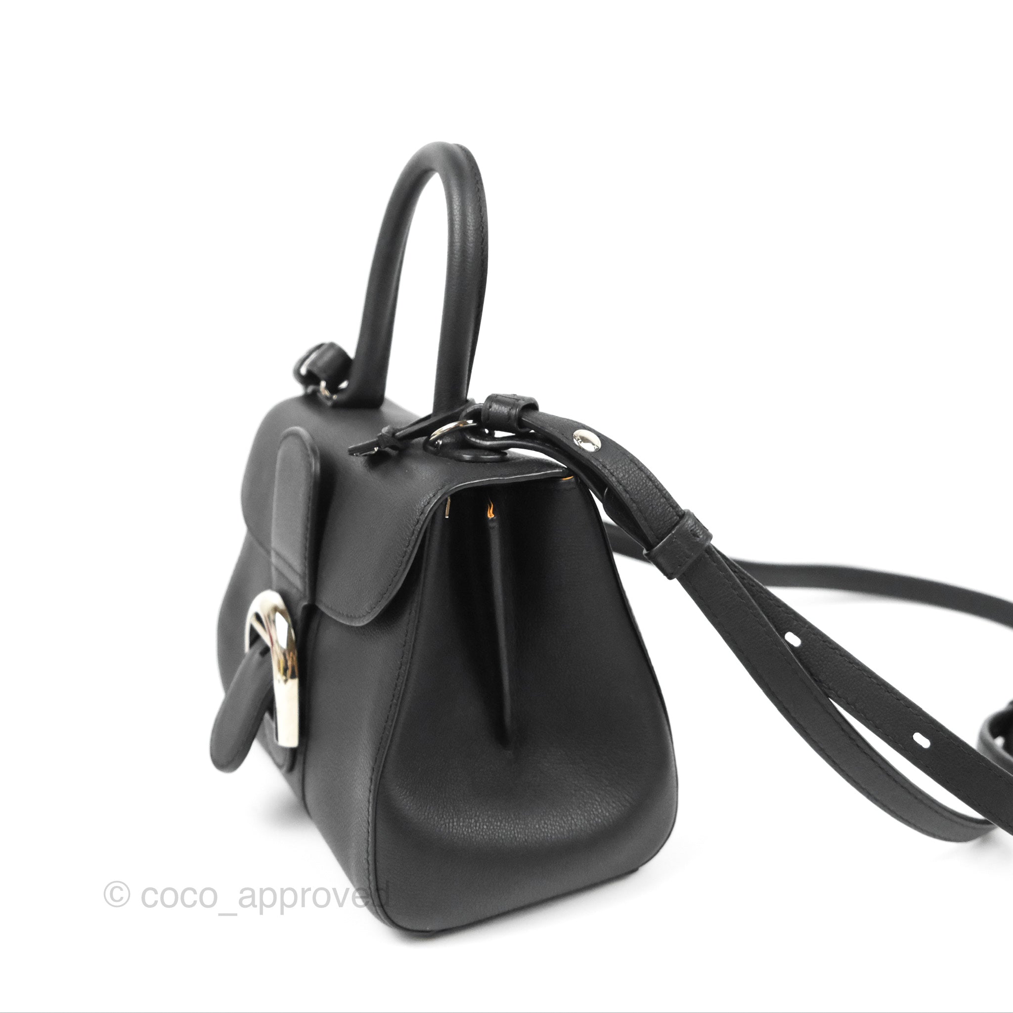 Delvaux Mini Brillant Bag Vegetal Rodeo Calf Gold Hardware – Coco Approved  Studio