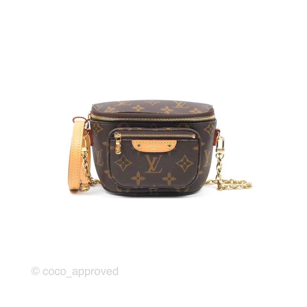 Louis Vitton Mini Bumbag in Monogram Canvas