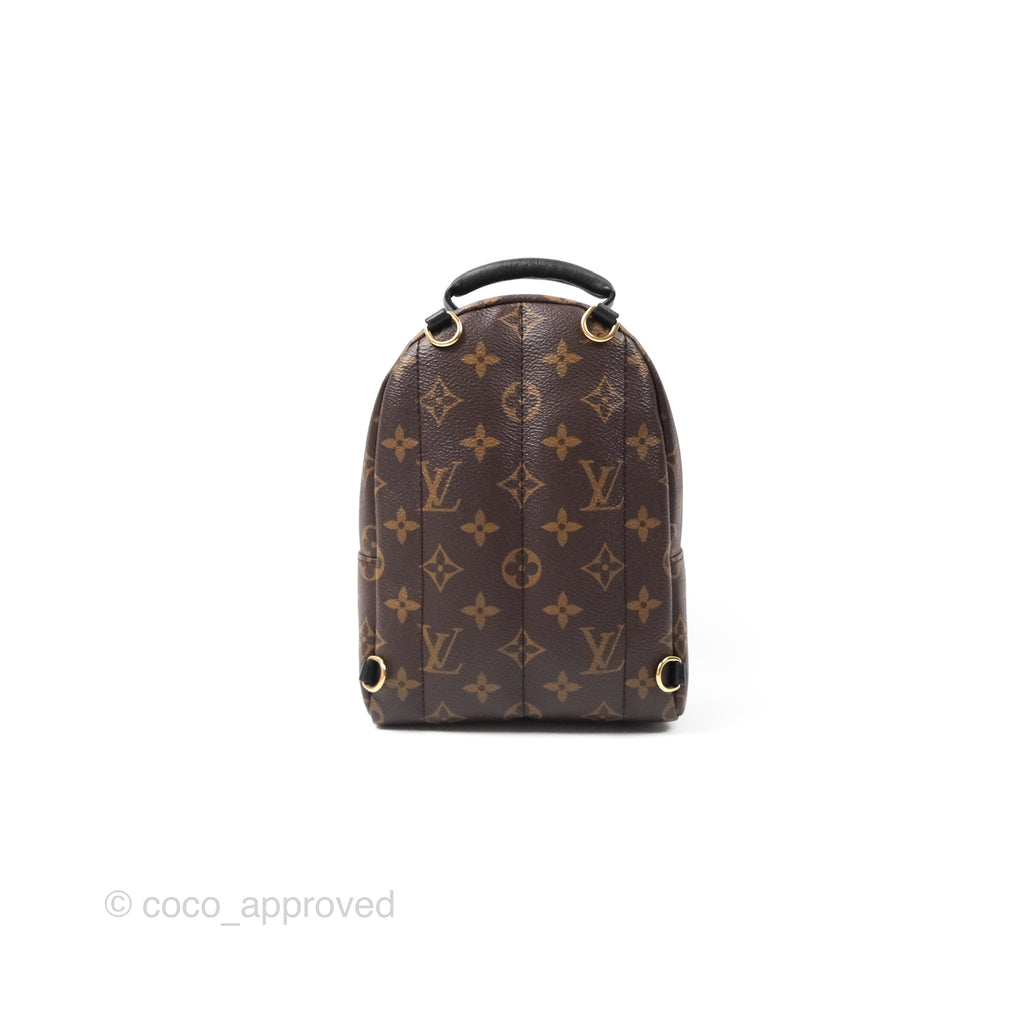 Louis Vuitton Monogram Mini Palm Springs Backpack⁣