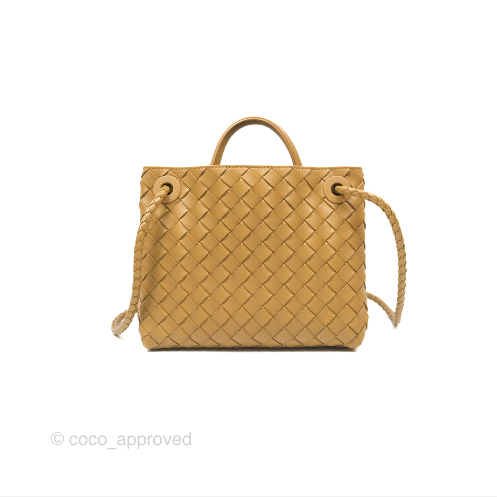 Bottega Veneta Small Andiamo Bag Dark Praline Intrecciato Lambskin