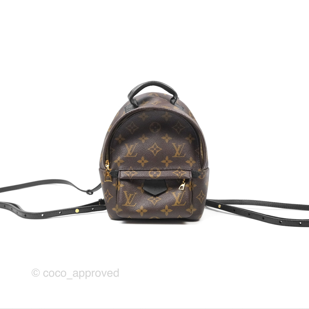 Louis Vuitton Mini Palm Springs Backpack⁣ Monogram Canvas