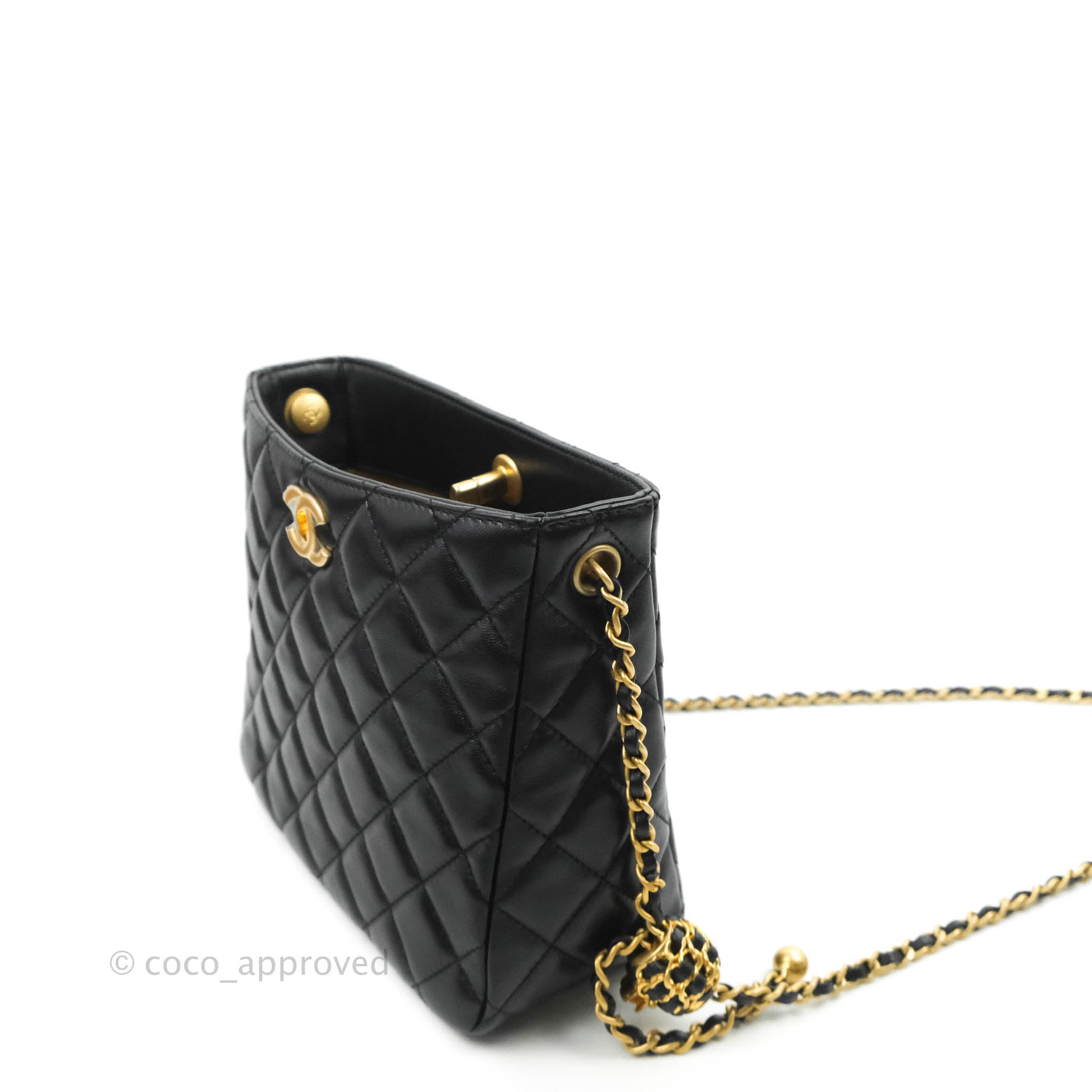 Chanel Small Hobo Bag (With Pearl Chain)