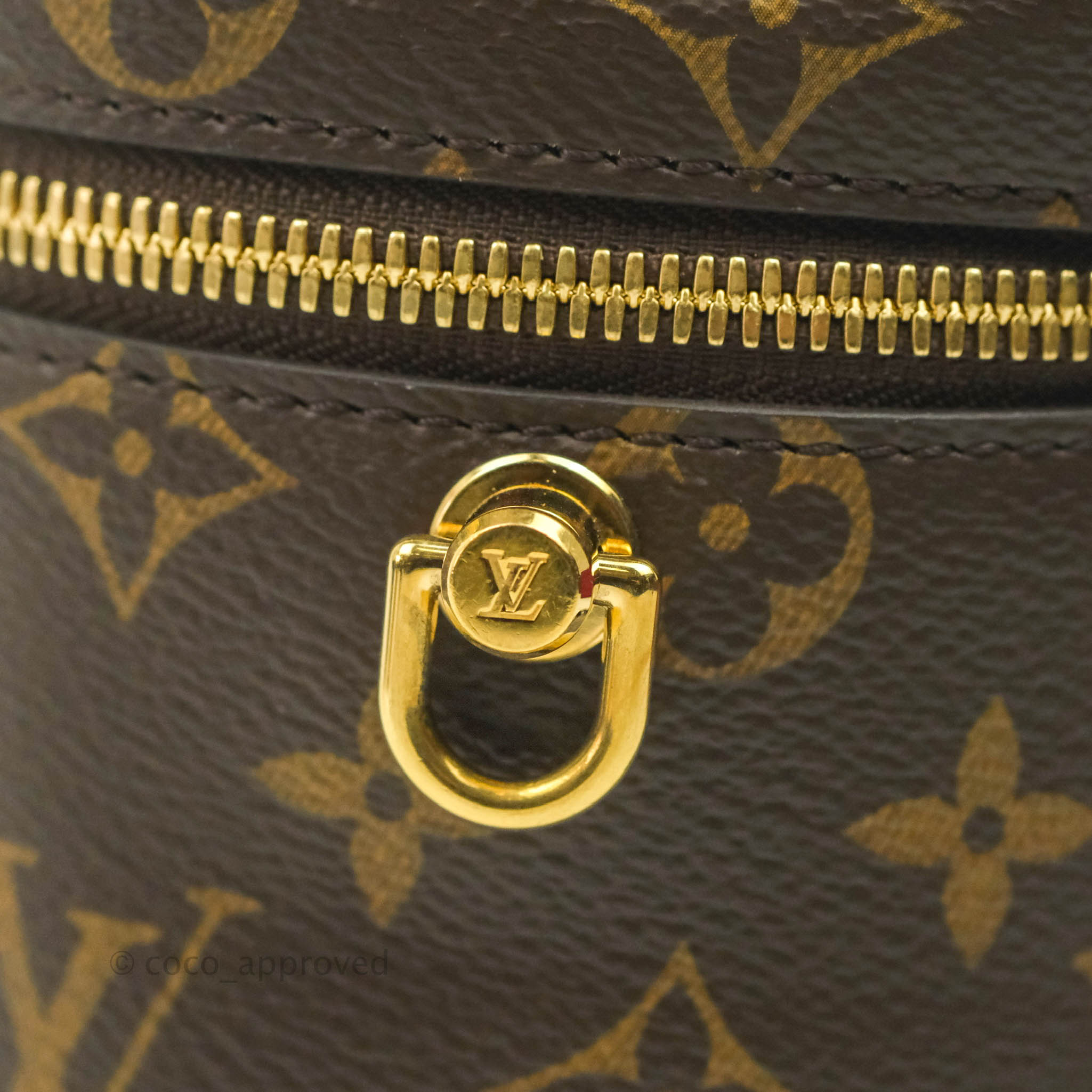 Louis Vuitton Reverse Monogram Vanity PM – Chicago Consignment