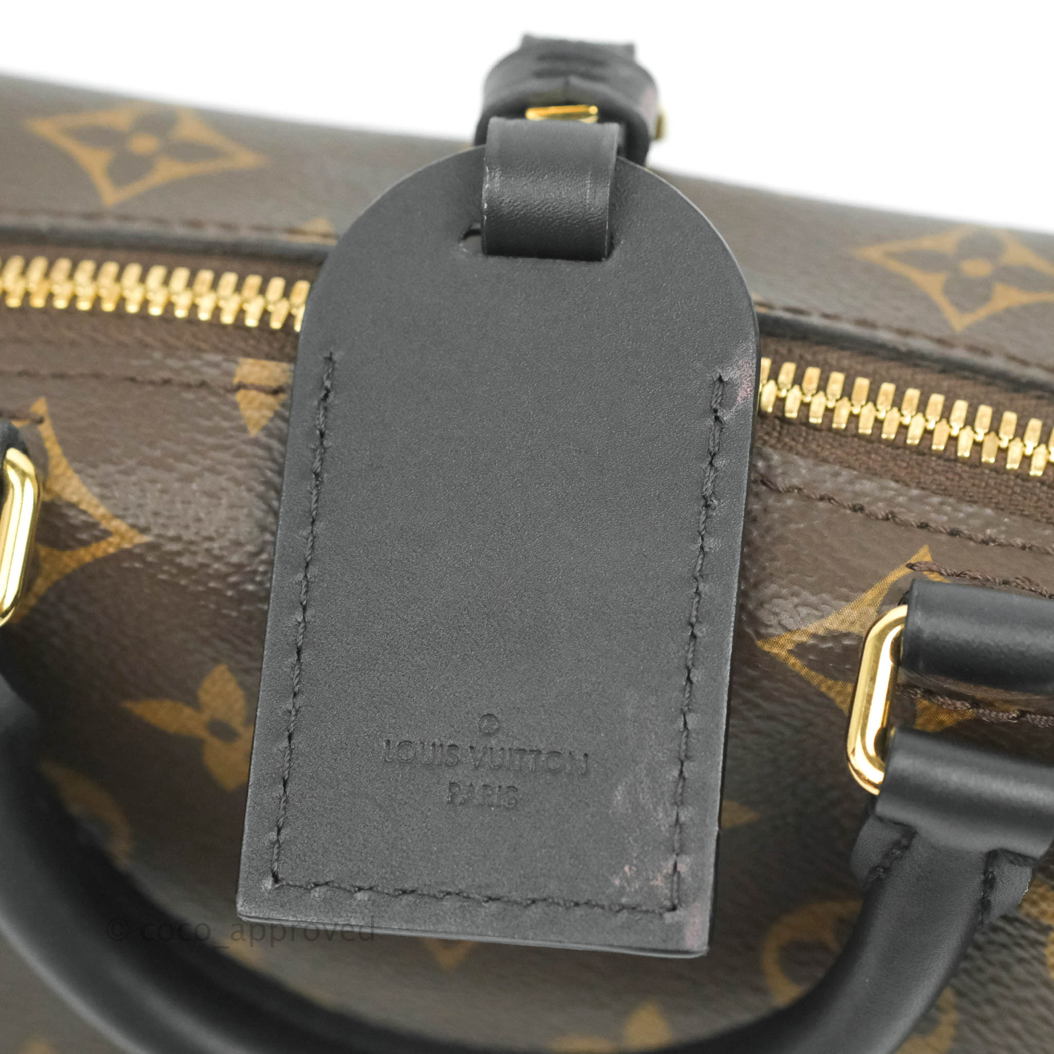 Louis Vuitton Monogram Petite Malle Souple Bag Brown - NOBLEMARS