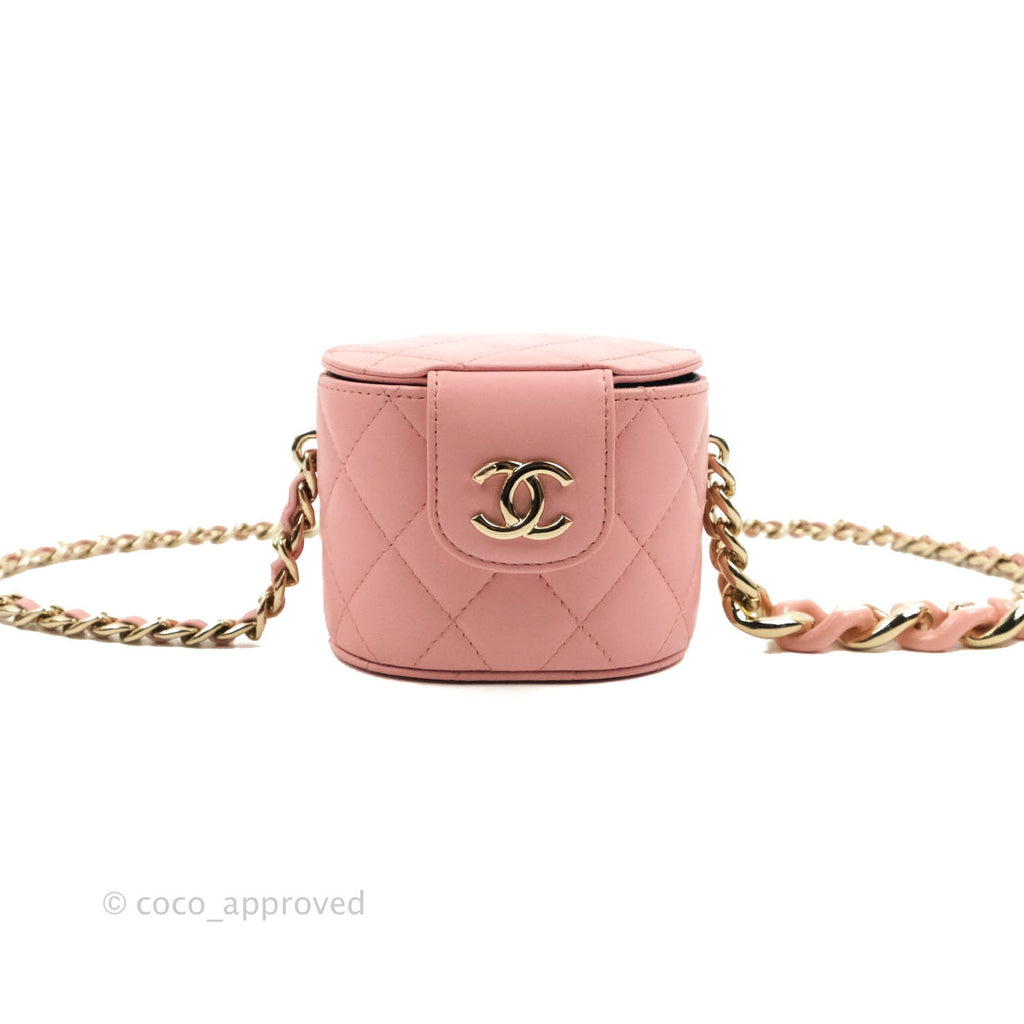 Chanel Quilted Small Resin Elegant Chain Vanity Case Lambskin Pink Gold Hardware