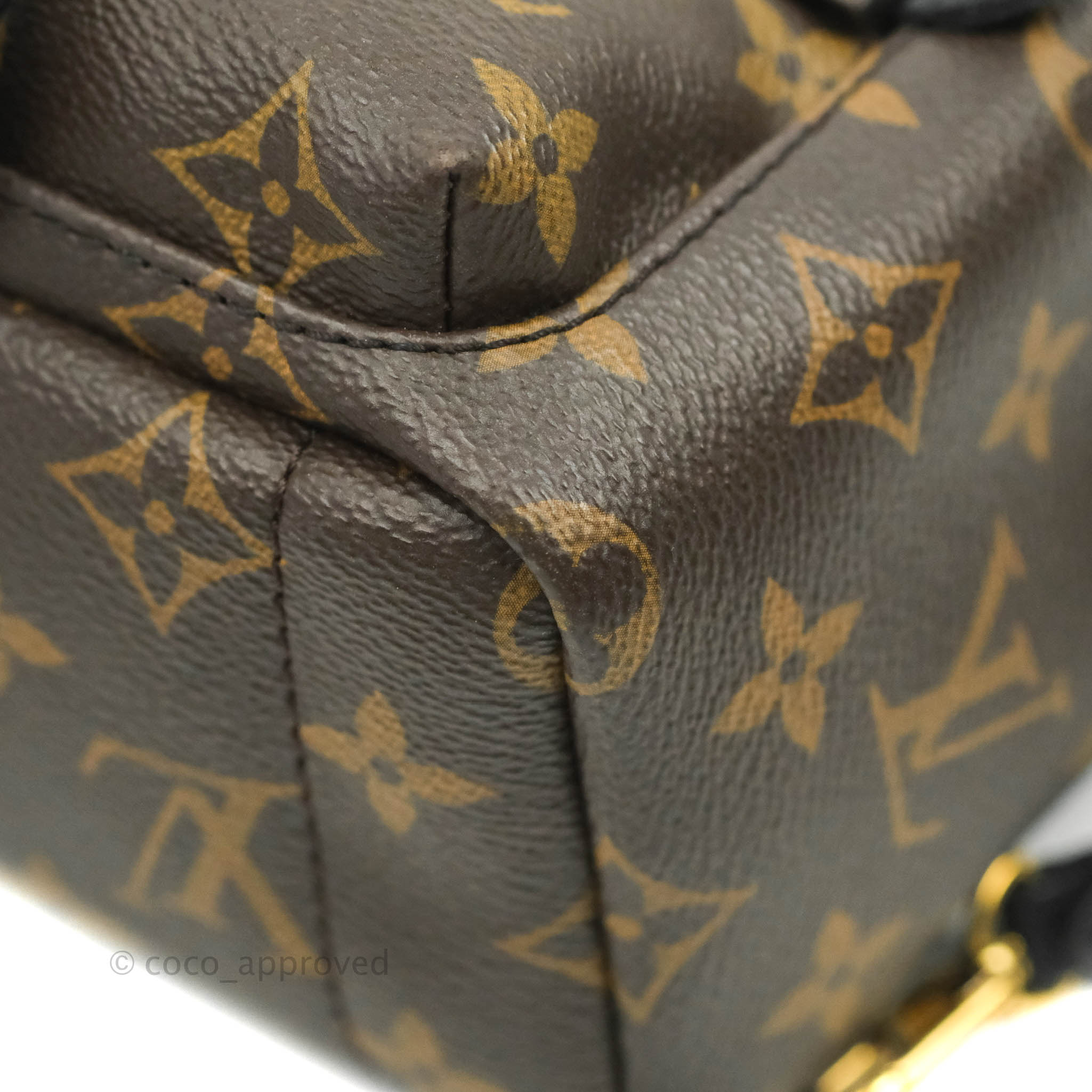 Louis Vuitton Monogram Mini Palm Springs Backpack⁣ – Coco Approved Studio