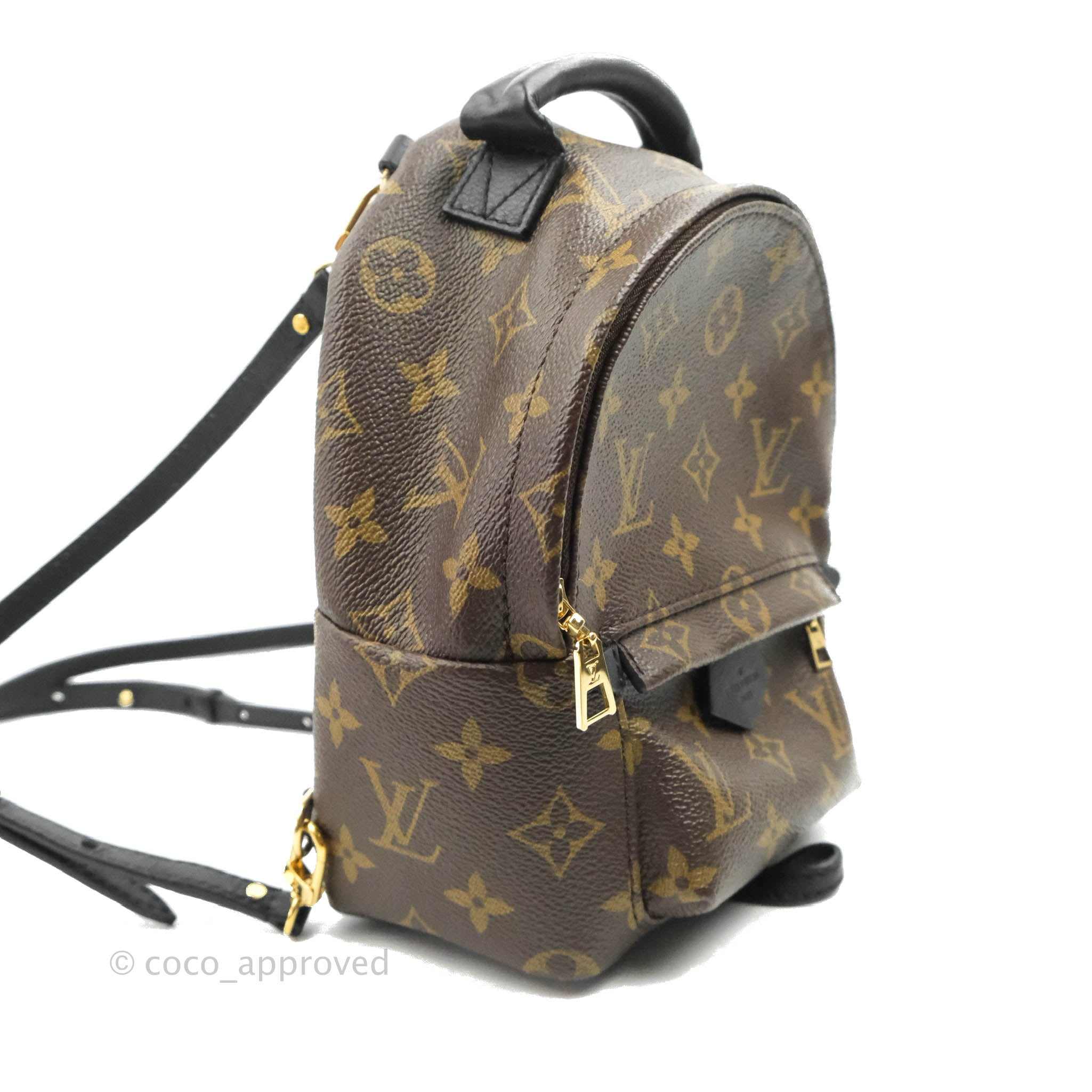 Louis Vuitton Mini Reverse Monogram Palm Springs Backpack⁣ – Coco Approved  Studio