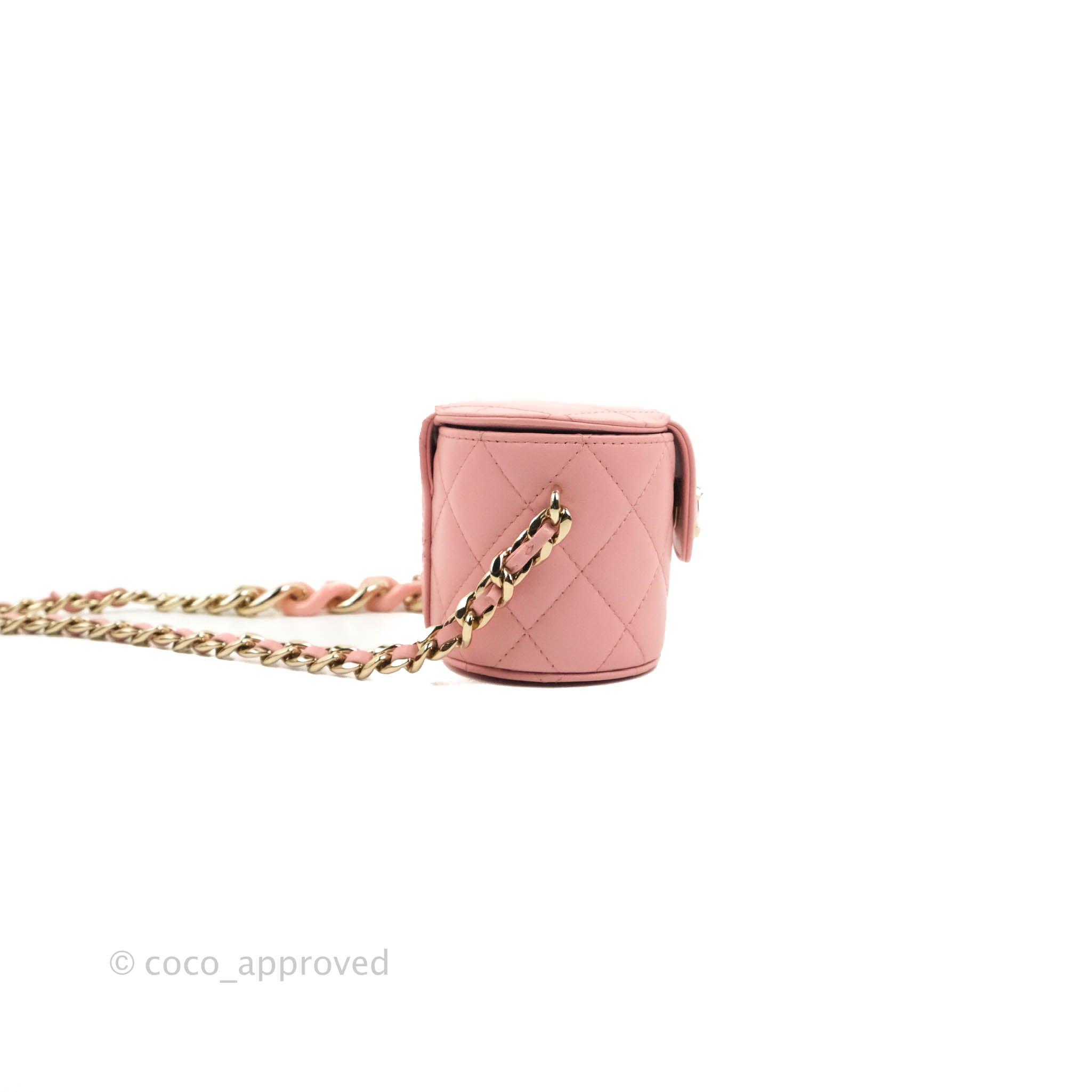 Chanel Quilted Small Resin Elegant Chain Vanity Case Lambskin Pink Gol –  Coco Approved Studio