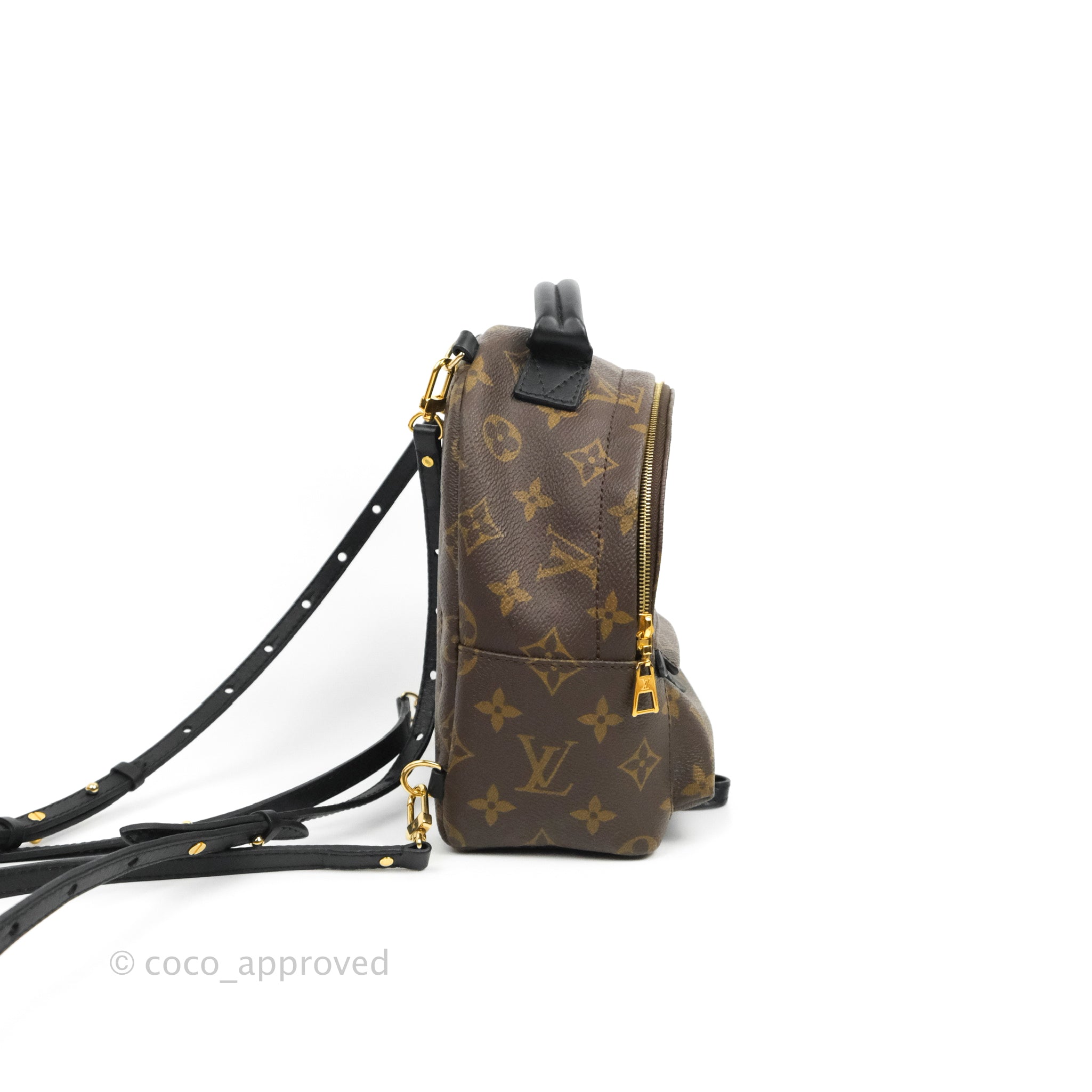 Louis Vuitton Monogram Canvas Palm Springs Mini Backpack 