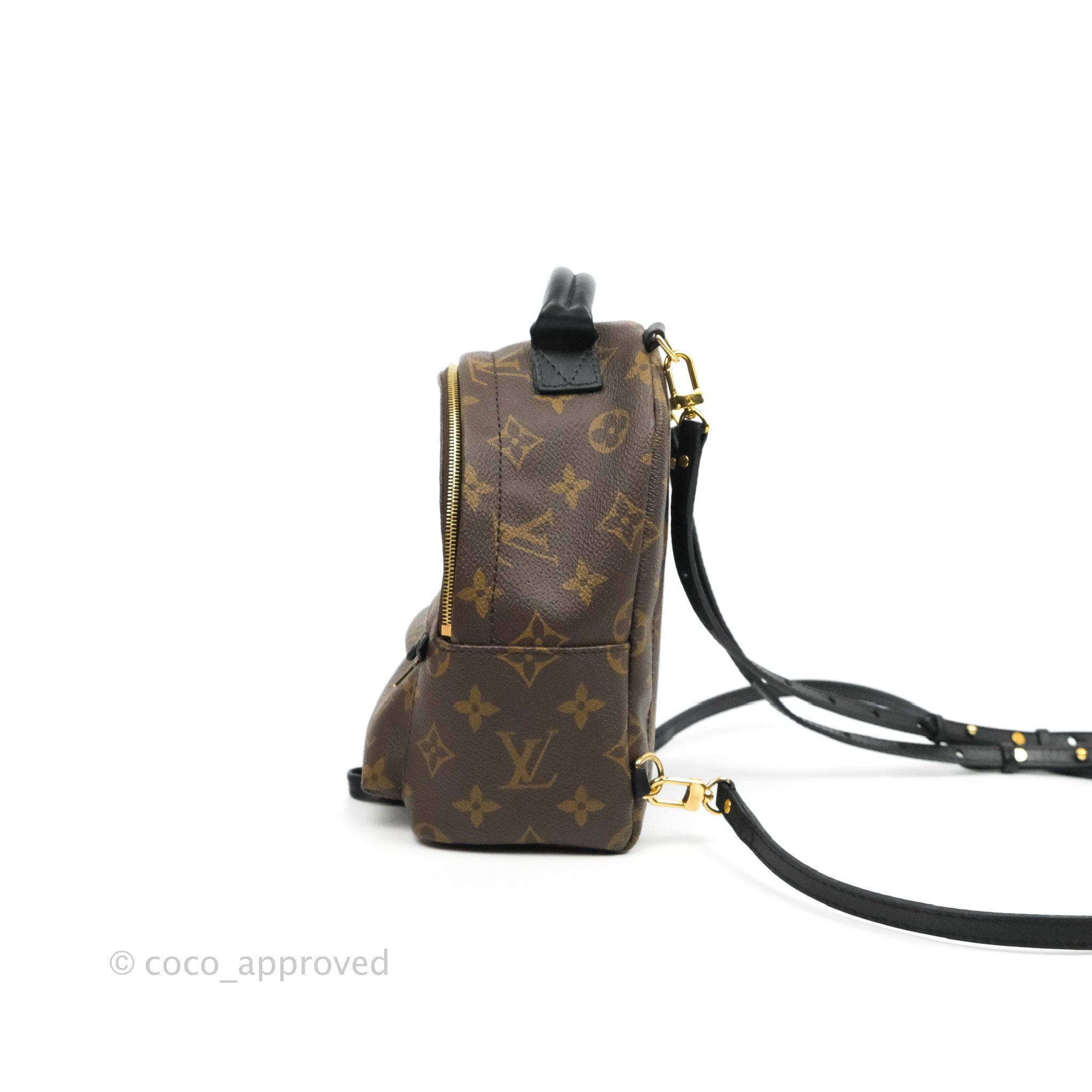Louis Vuitton Monogram Palm Springs Mini Backpack 860930