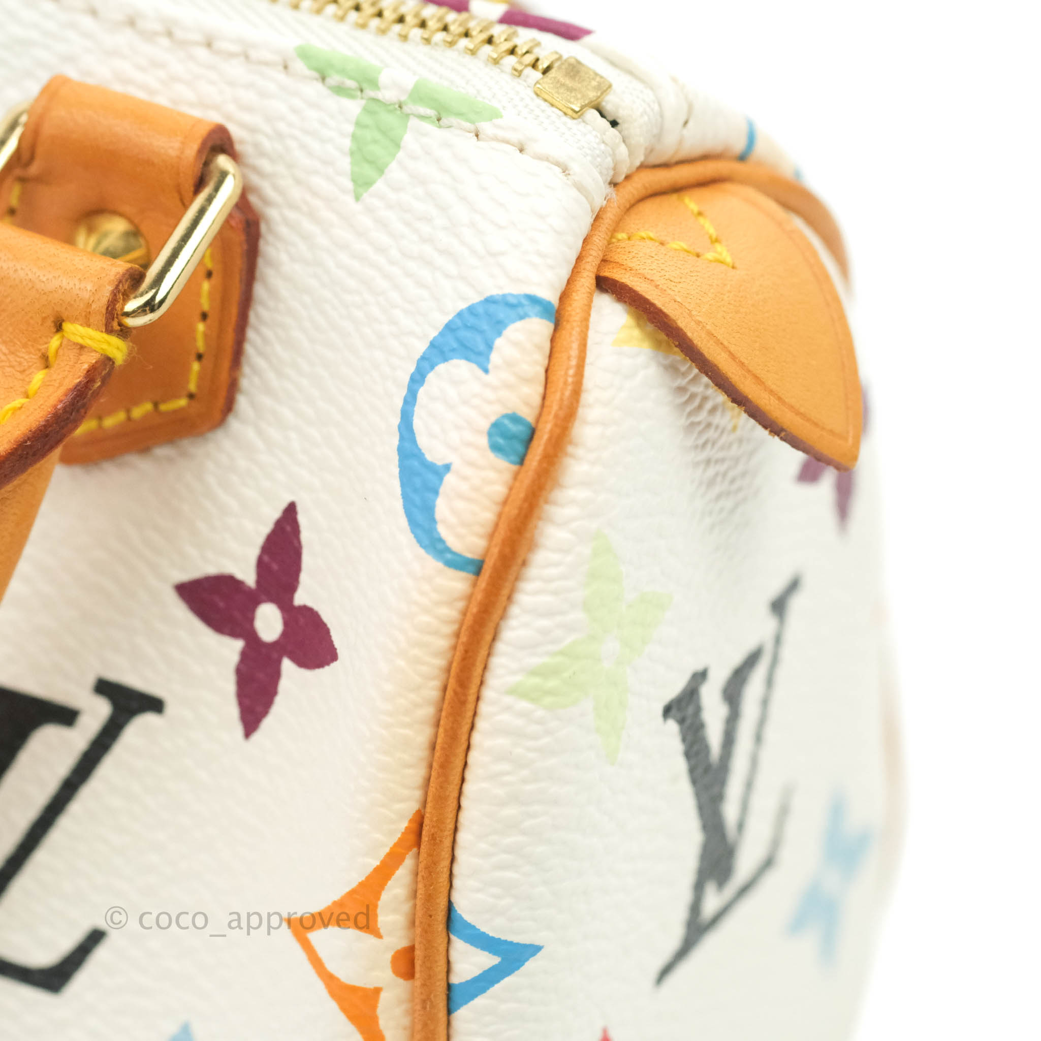 Louis Vuitton Multicolor Mini Speedy Bag