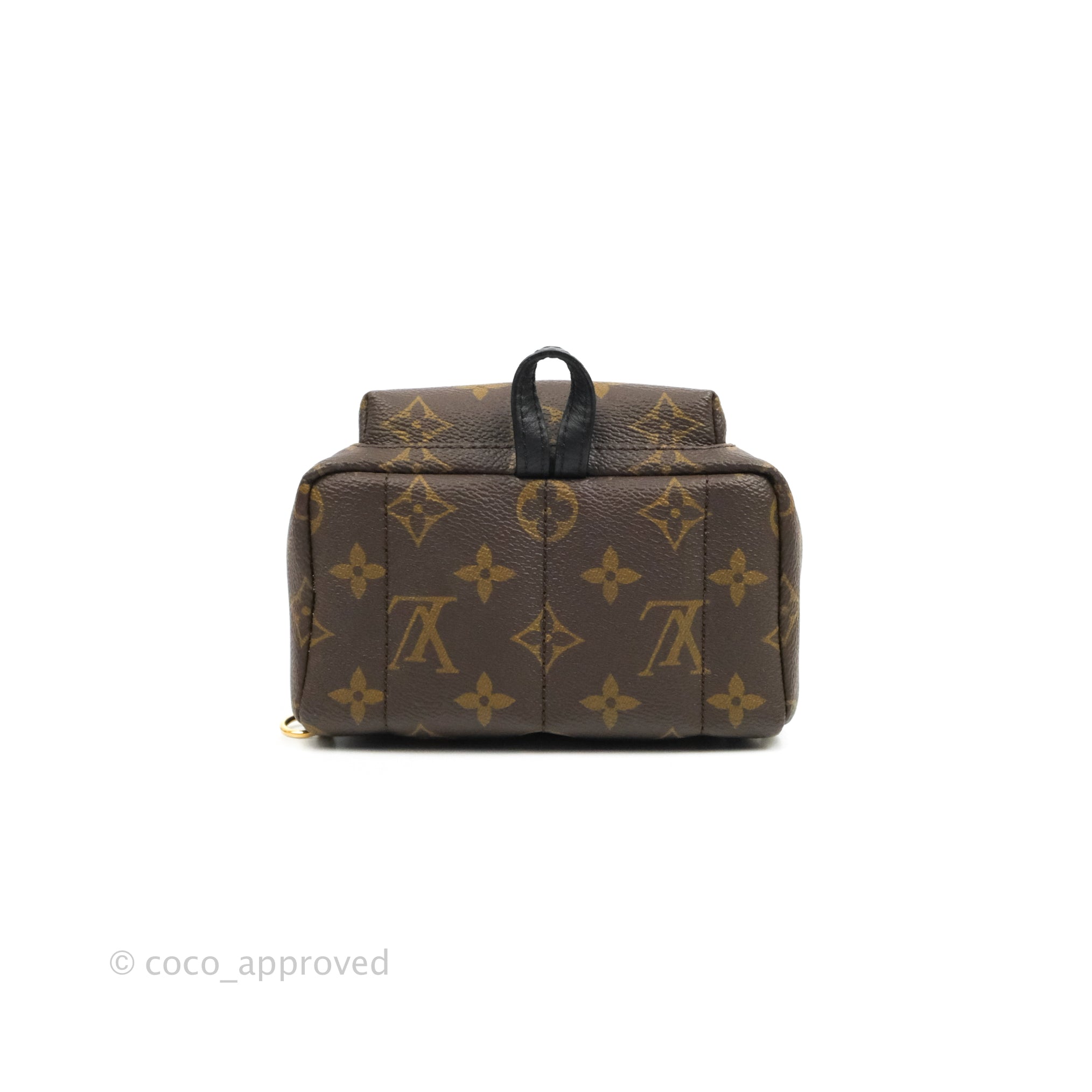 Louis Vuitton Palm Springs Backpack Monogram Canvas Mini - ShopStyle
