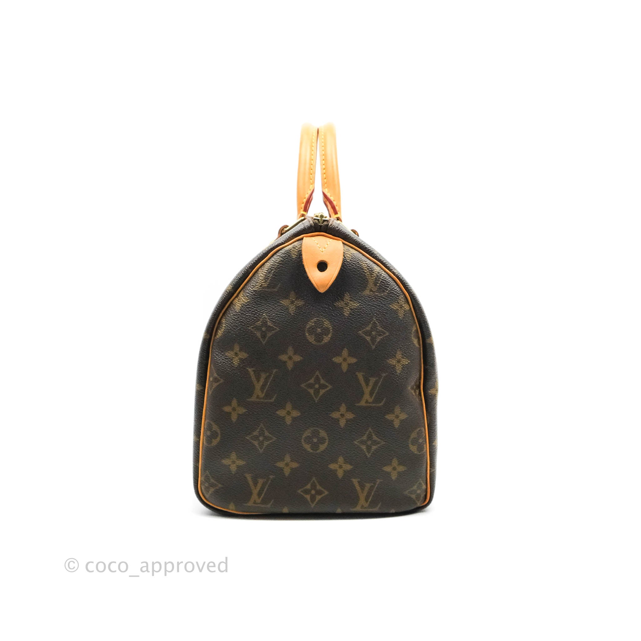 Louis Vuitton Peppermint Monogram Vernis Papillon 30 Bag For Sale