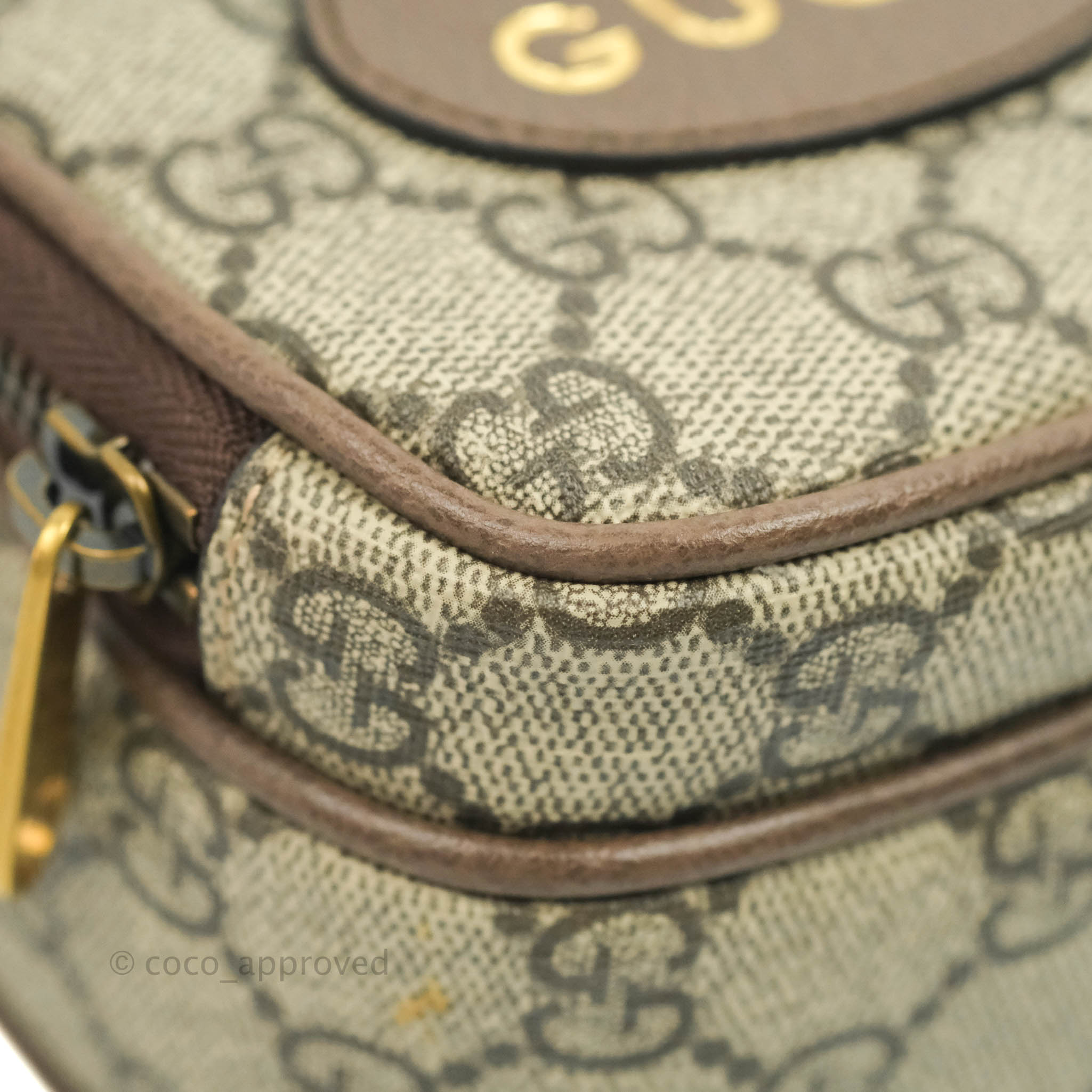 Gucci Beige Neo Vintage Mini Bag – Coco Approved Studio