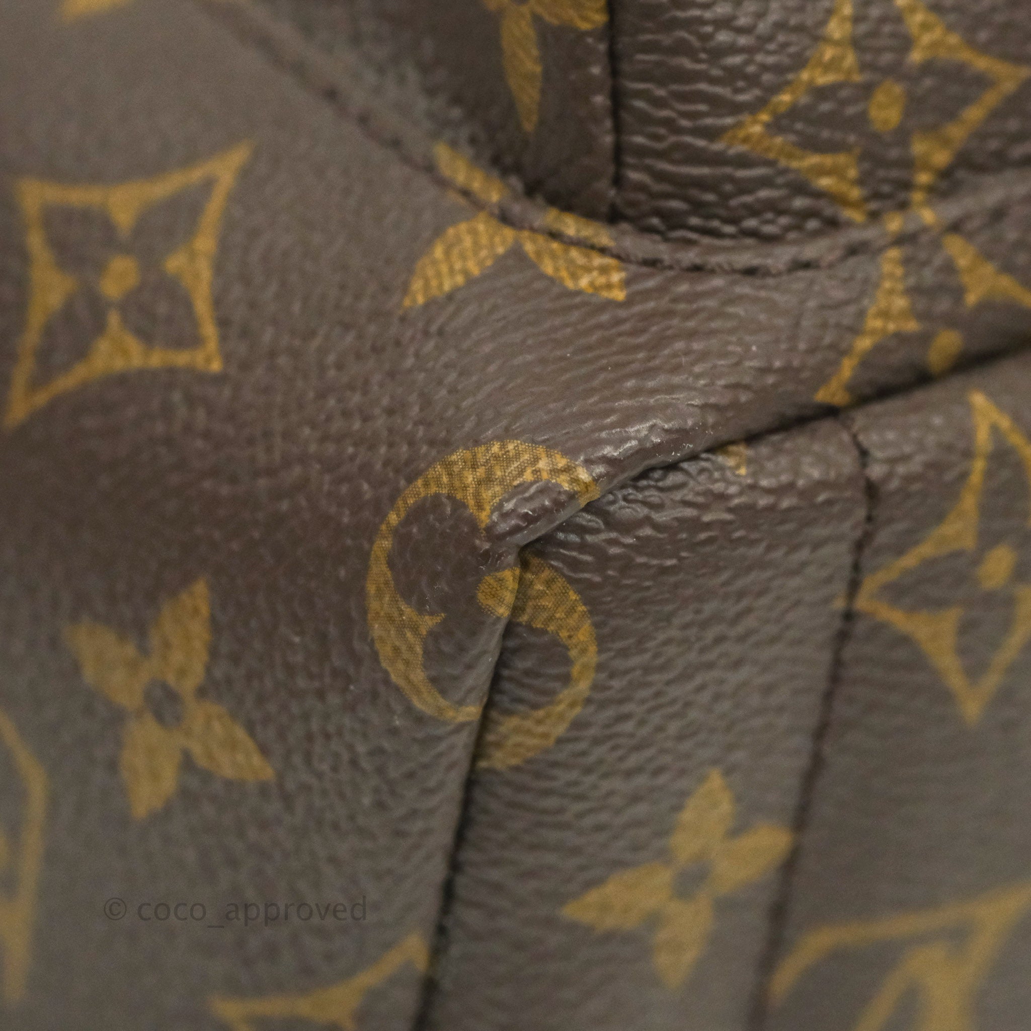 Louis Vuitton Monogram Palm Springs Mini Backpack ref.294107 - Joli Closet