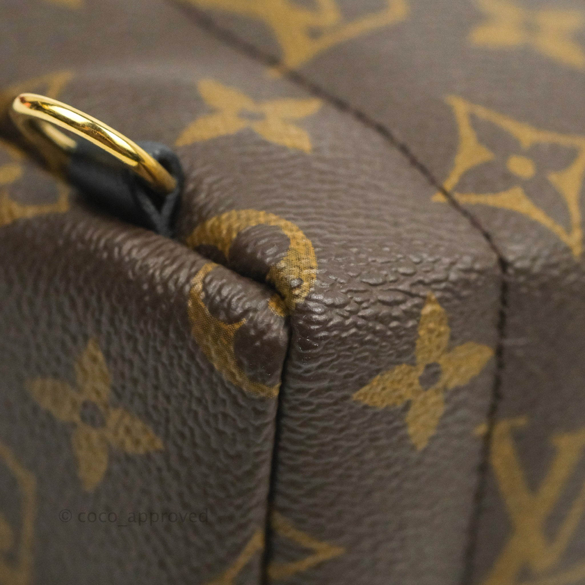 Minimochila Louis Vuitton Palm Spring para mujer con monograma Castaño  Lienzo ref.1060335 - Joli Closet