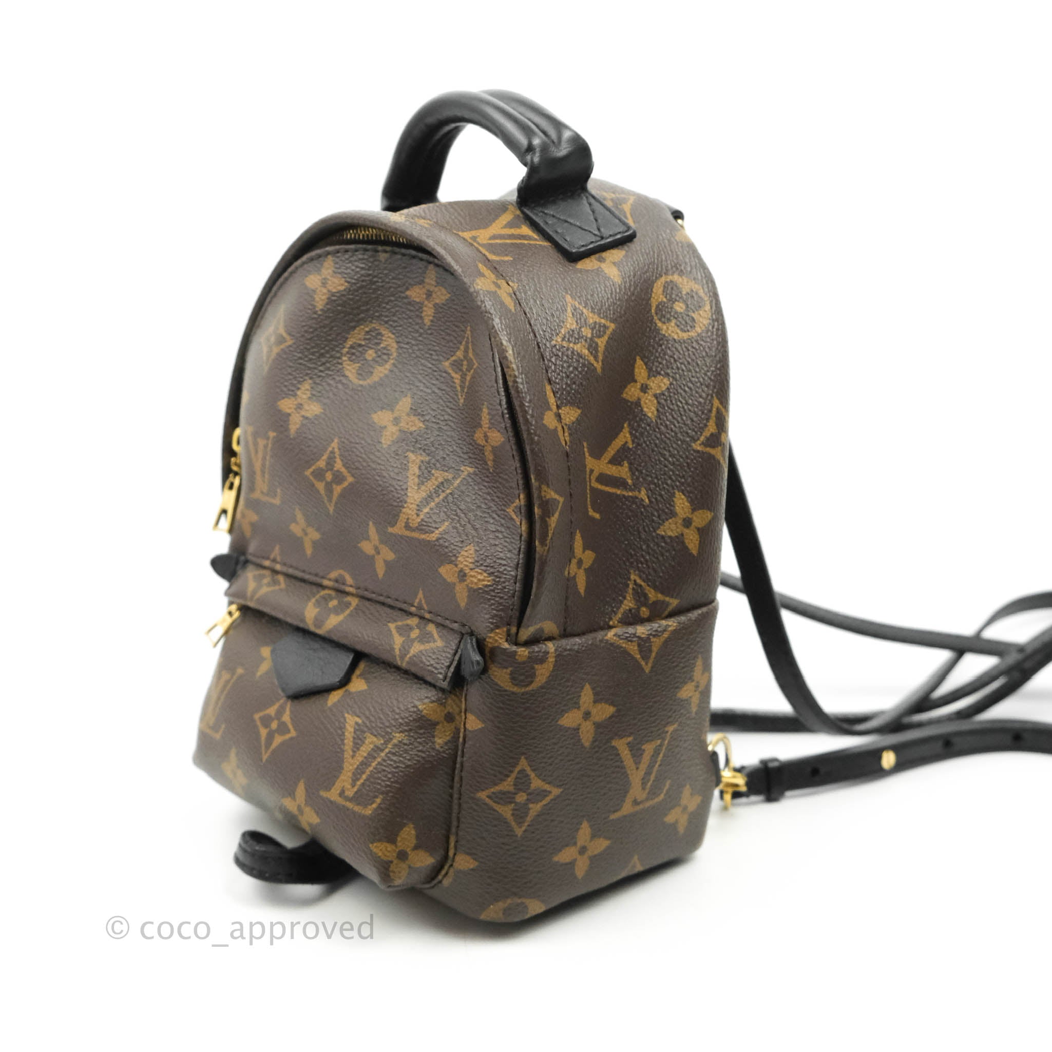 Palm Spring Backpack Mini  Used & Preloved Louis Vuitton Backpack