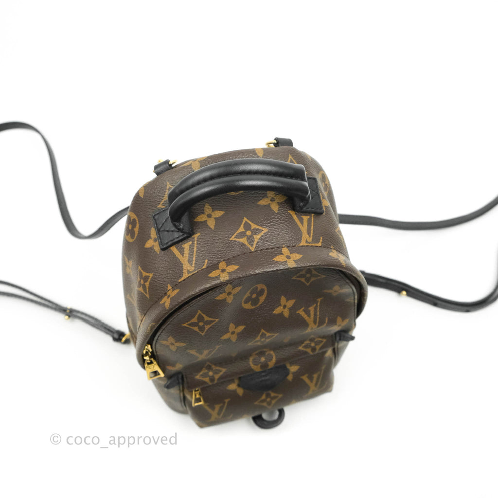 Louis Vuitton Monogram Mini Palm Springs Backpack⁣