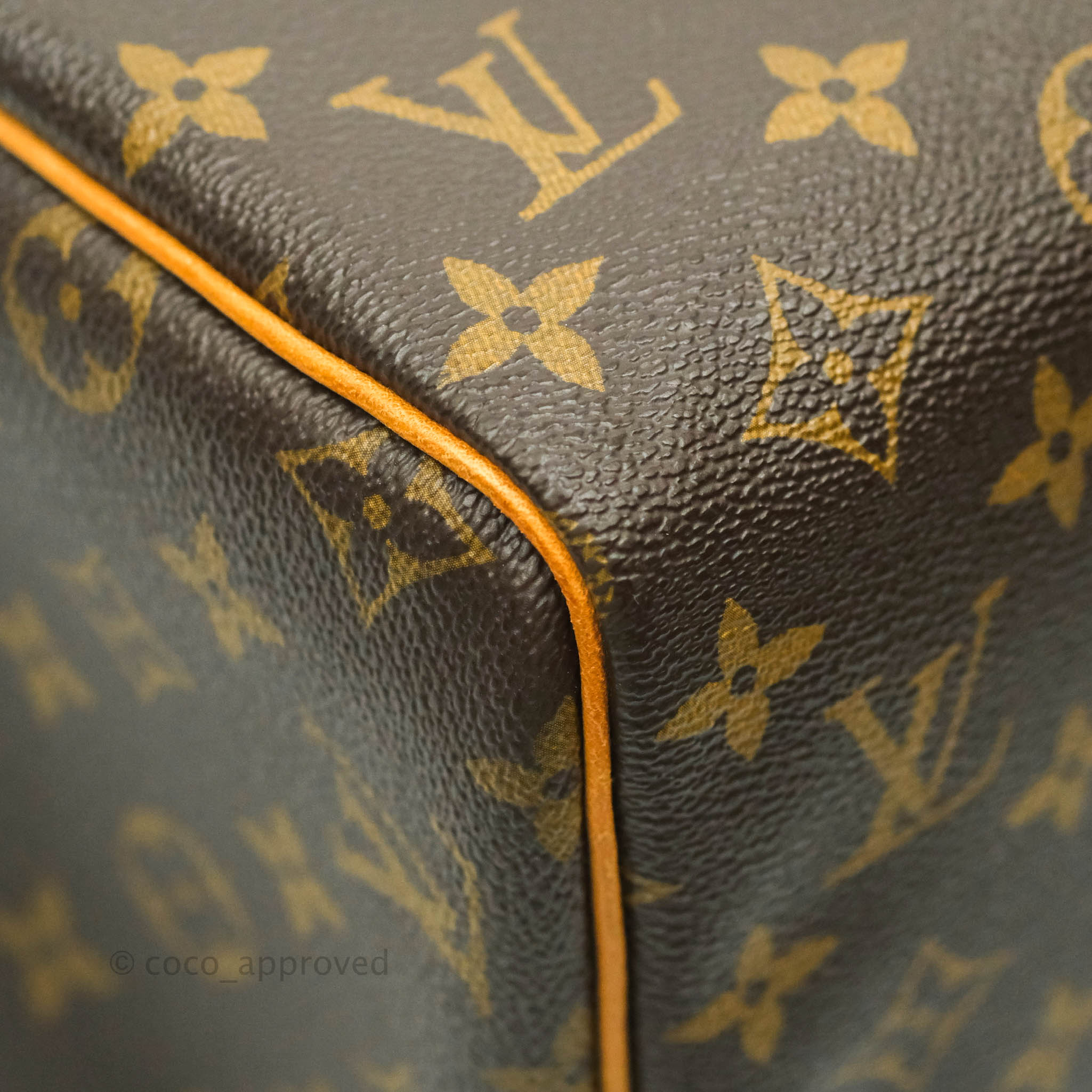 Louis Vuitton Giant Monogram Canvas By The Pool Victorine Wallet