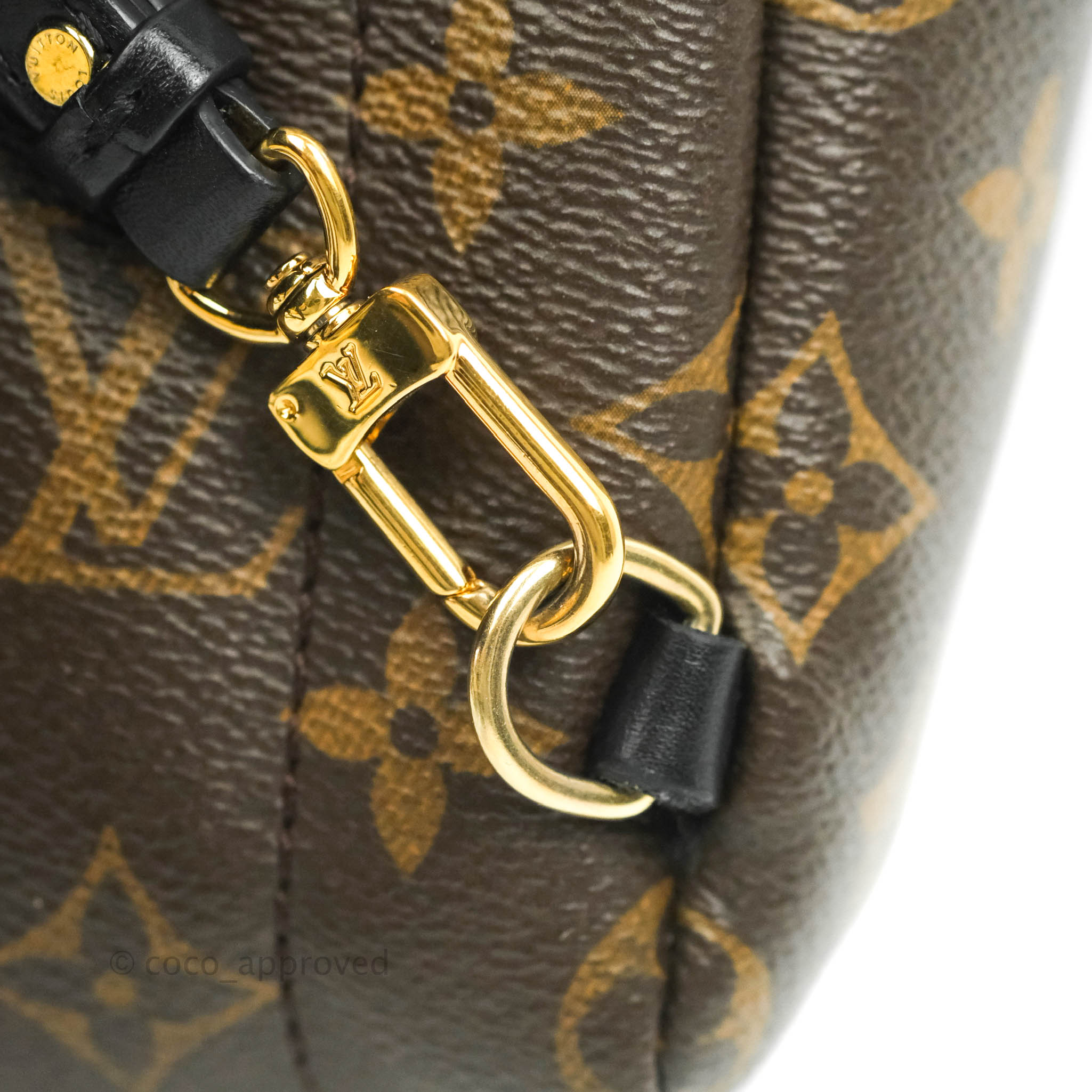 Louis Vuitton DAUPHINE bag WORTH IT? after price increase Chanel Coco  Handle Dior 30 Montaigne 