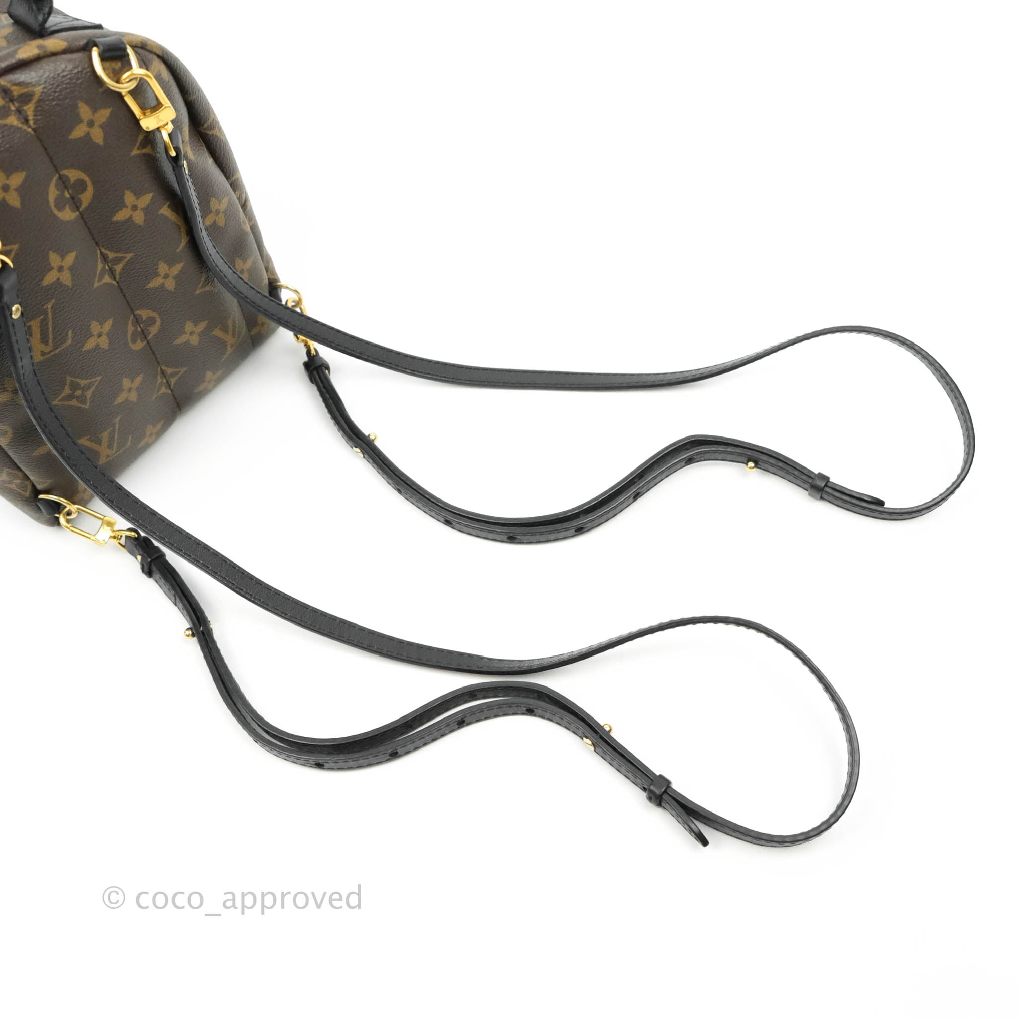 Louis Vuitton Reverse Mini Palm Springs Backpack⁣ – Coco Approved