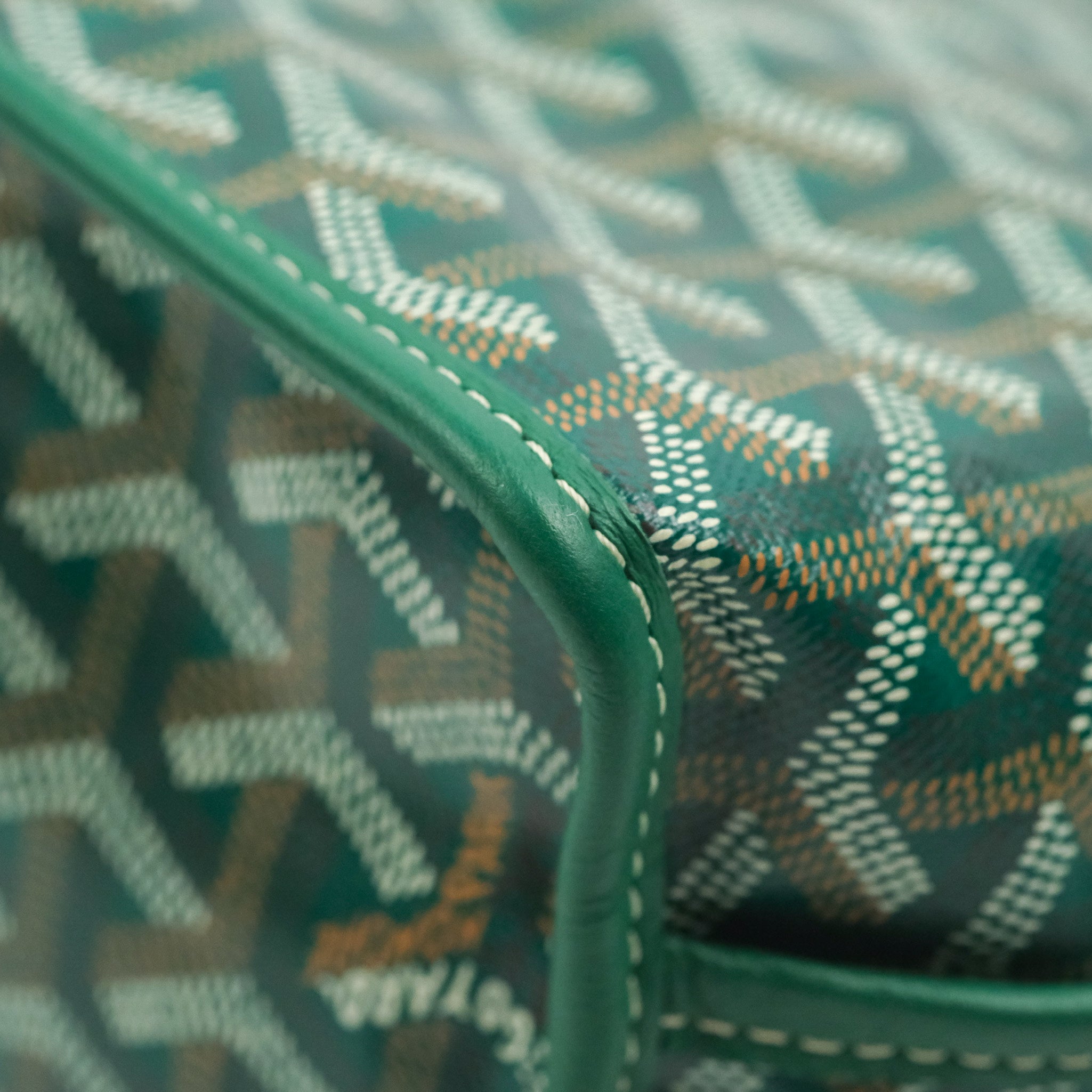 Anjou cloth mini bag Goyard Green in Cloth - 23070310