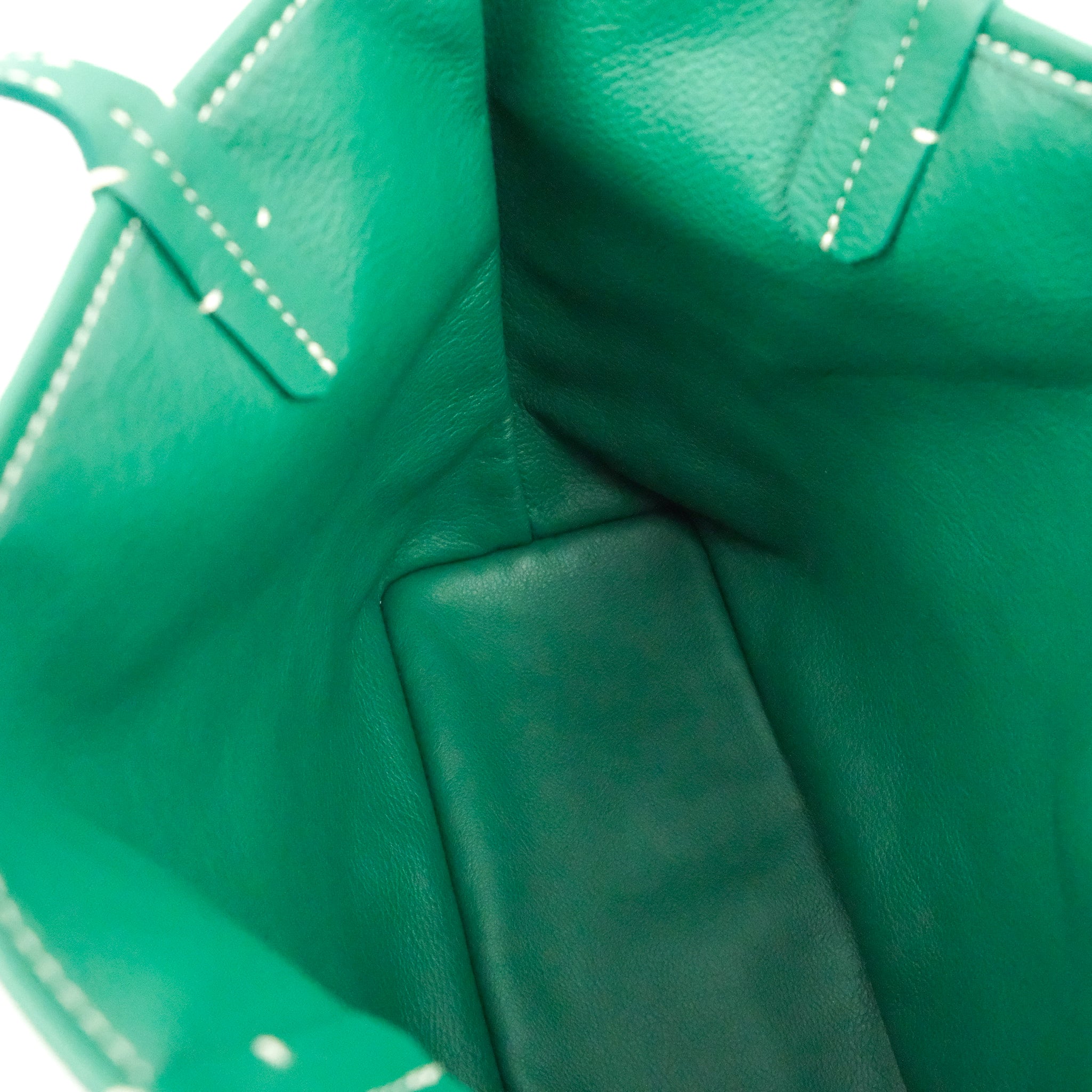 Goyard Anjou Tote Mini Green in Calfskin/Canvas with Palladium-tone - US