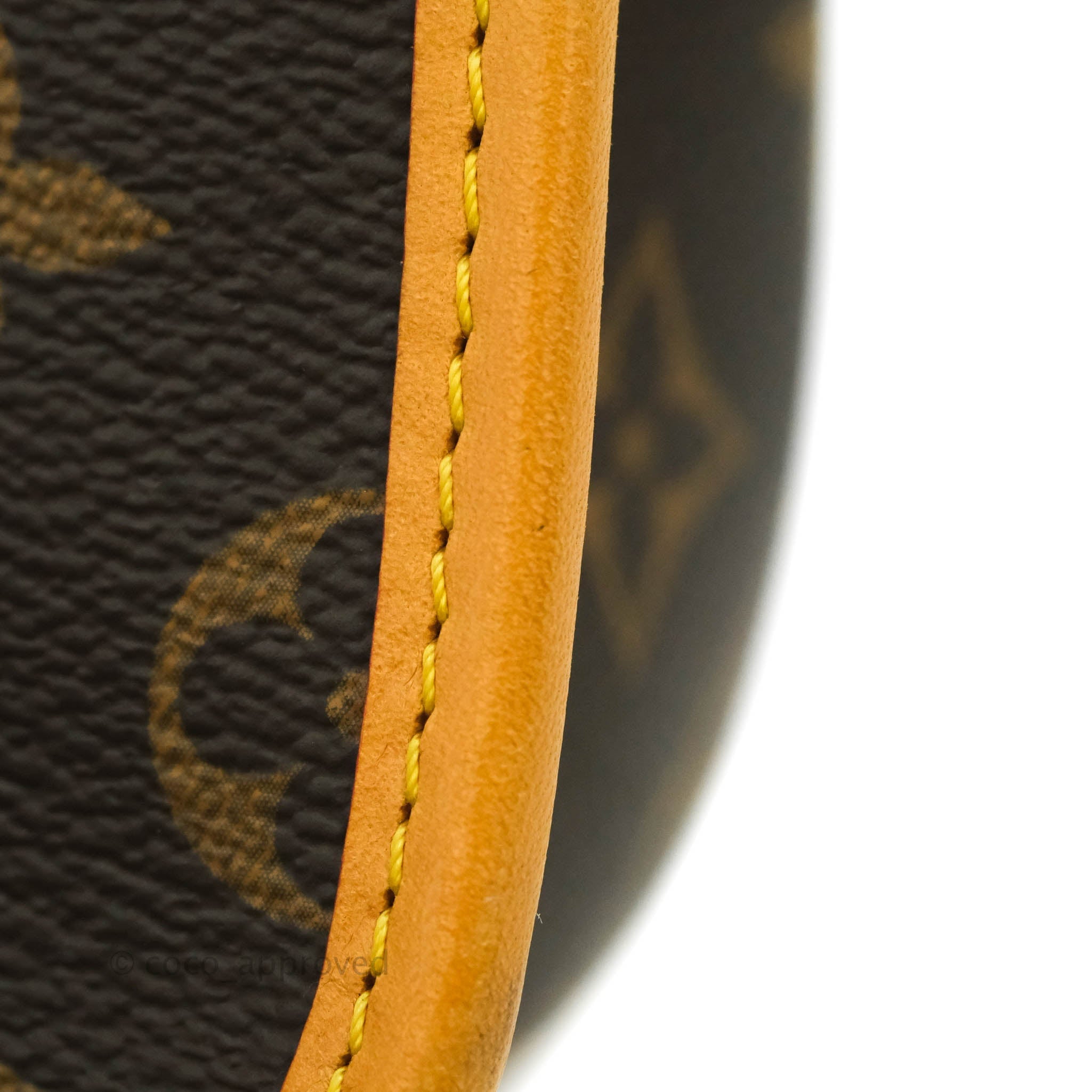 Louis Vuitton LV Diane Satchel new Brown ref.638191 - Joli Closet
