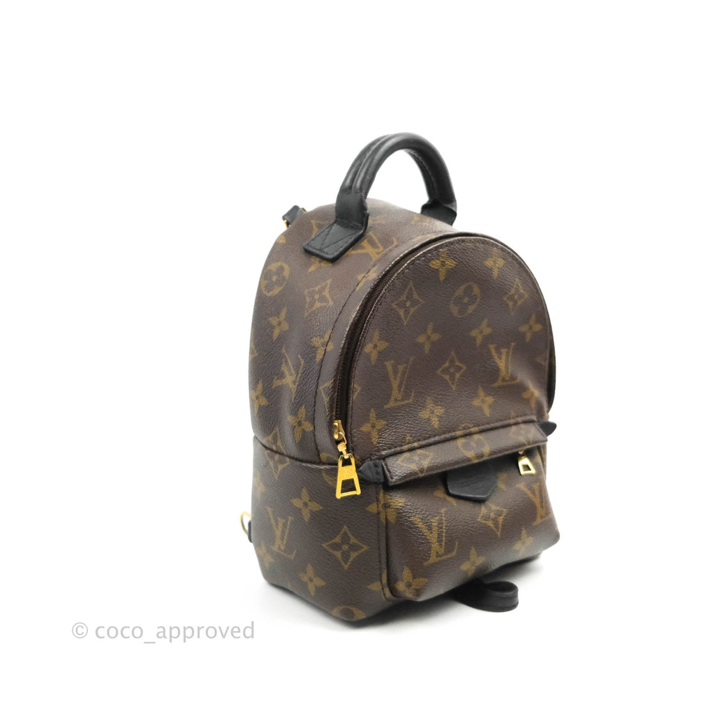 Louis Vuitton Mini Palm Springs Monogram Canvas Backpack⁣