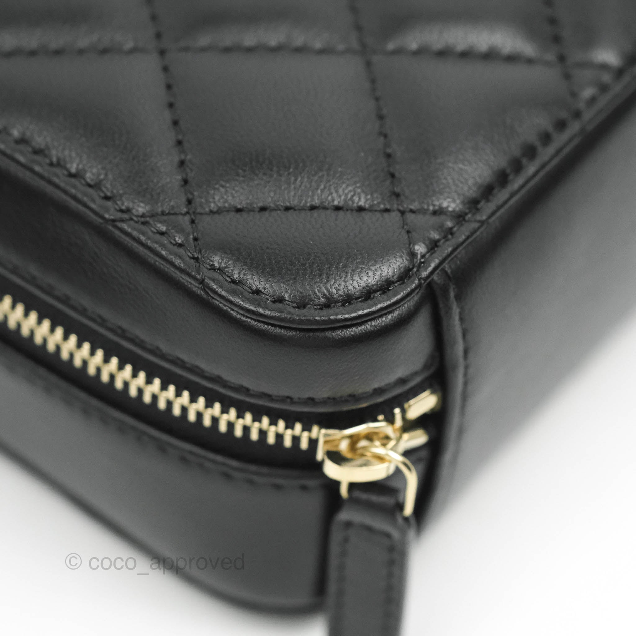 Chanel Pearl Crush Quilted Camera Bag Black Lambskin Aged Gold Hardwar –  Coco Approved Studio